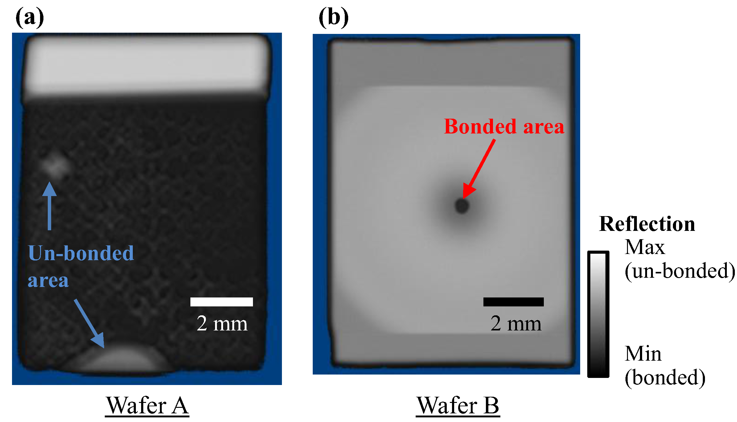 Photonics 03 00036 g010