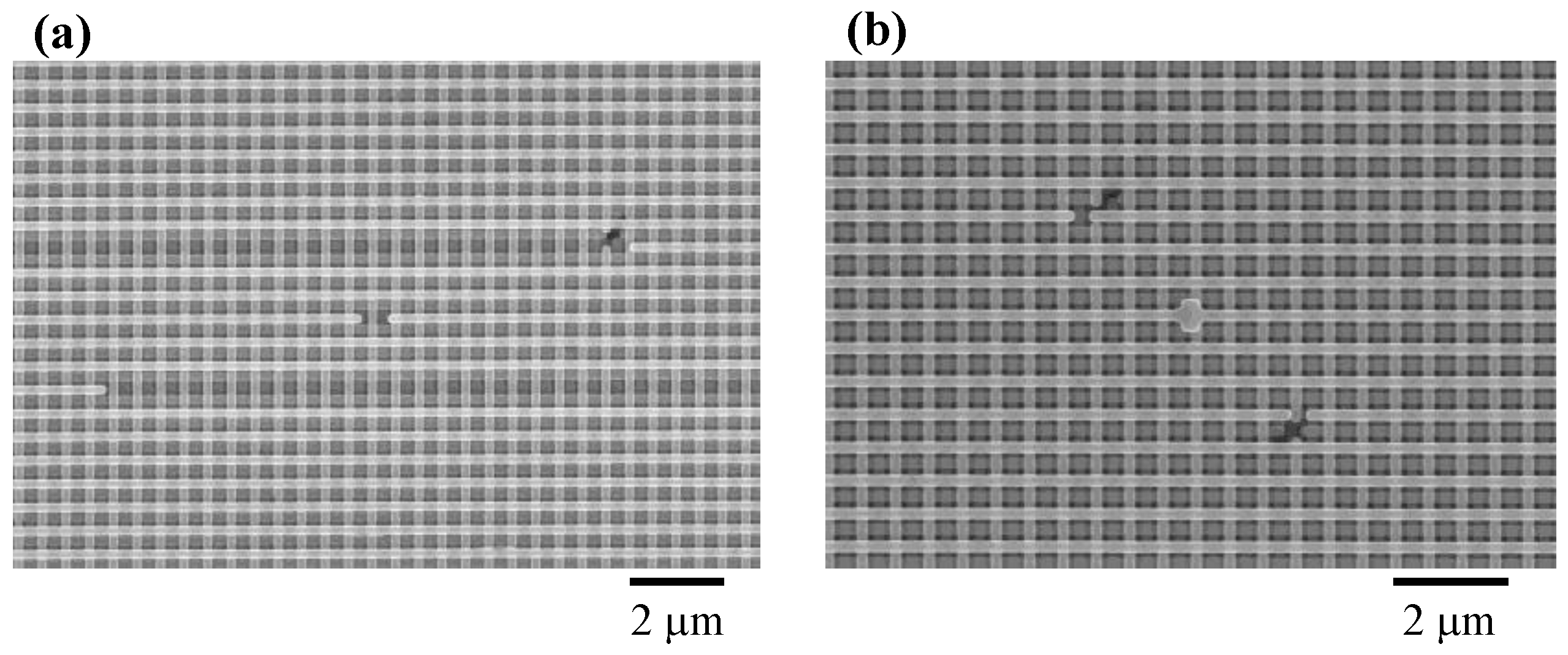 Photonics 03 00036 g014