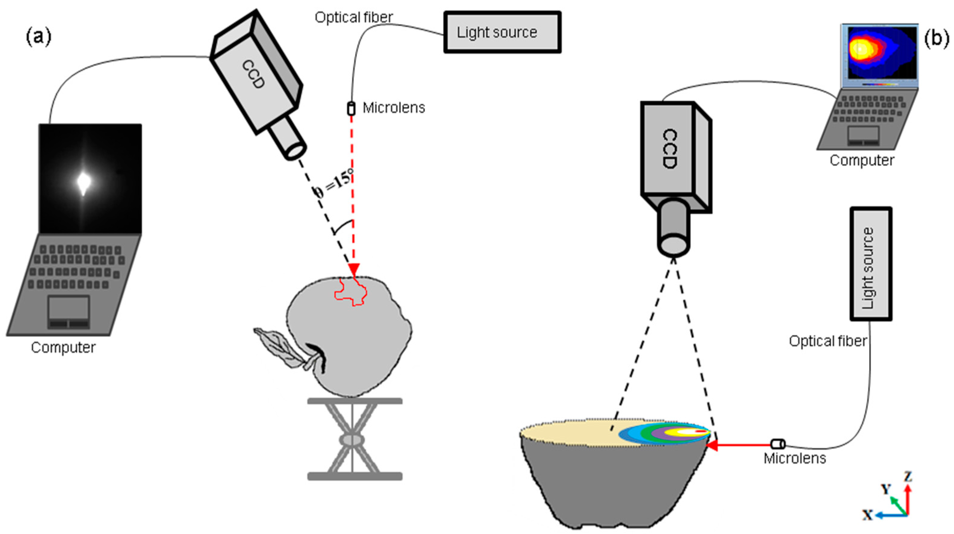 Photonics 03 00050 g001