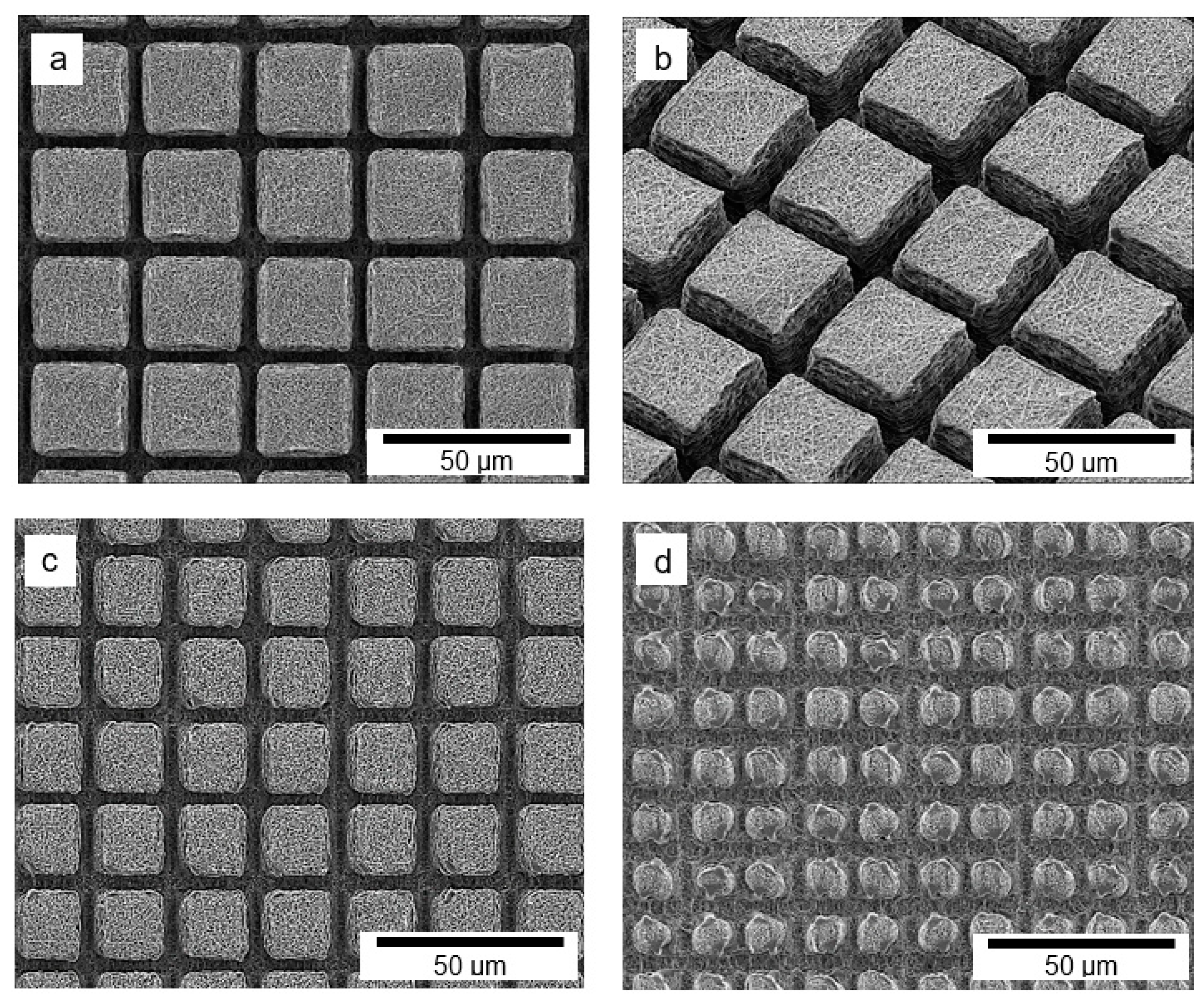 Photonics 06 00003 g005