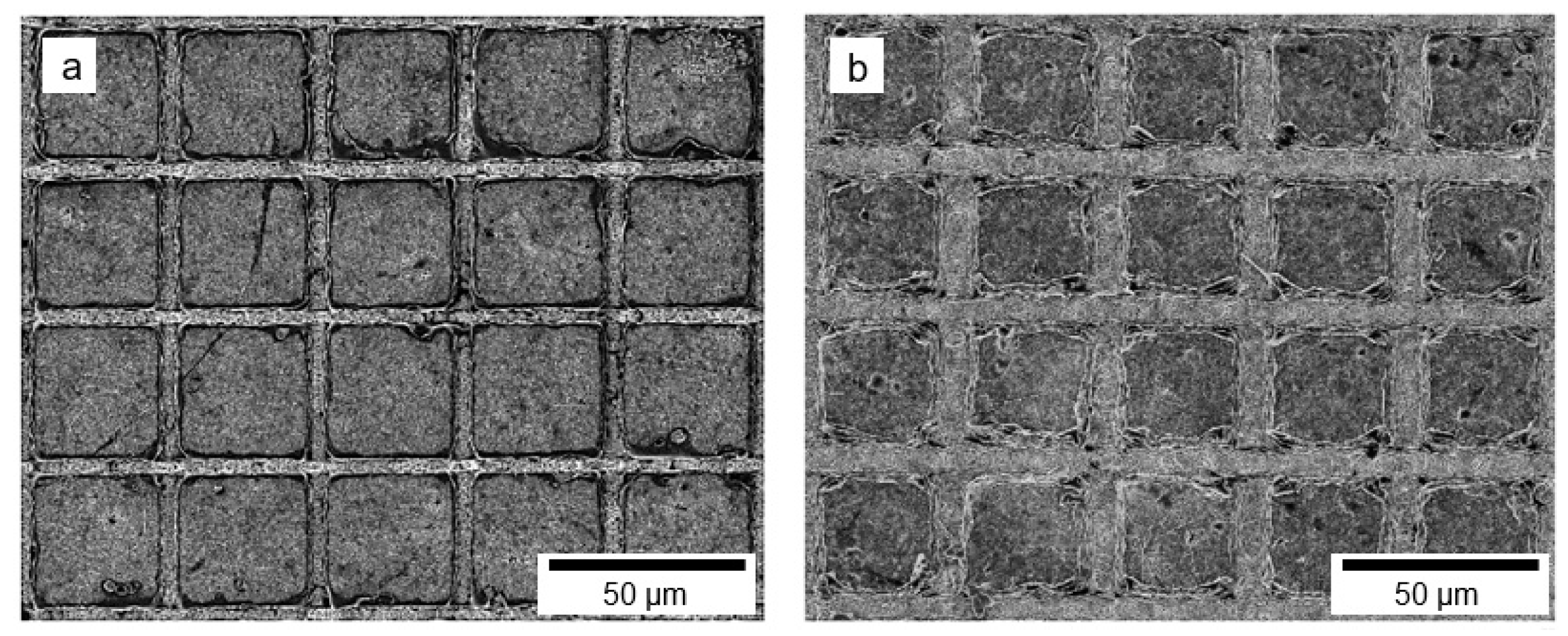 Photonics 06 00003 g007