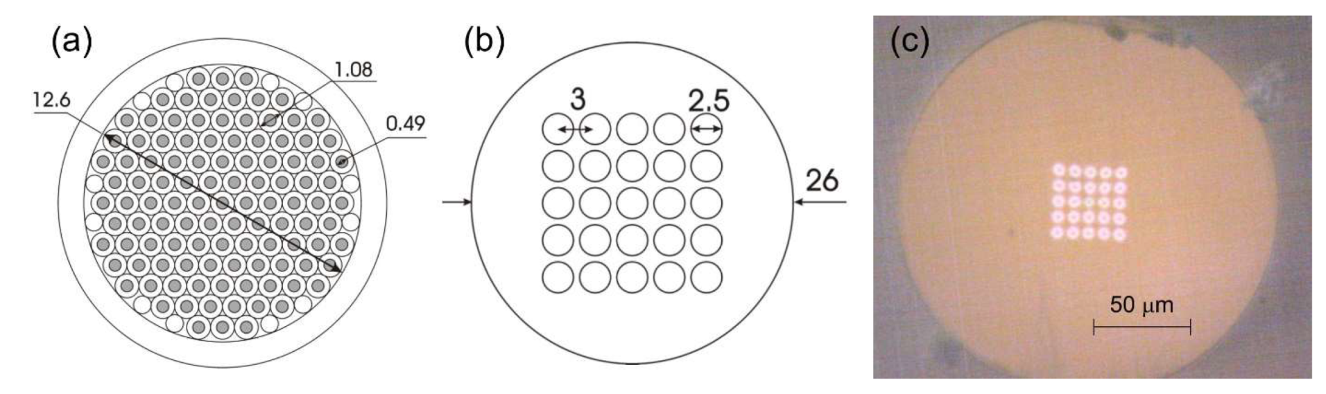Photonics 08 00314 g001