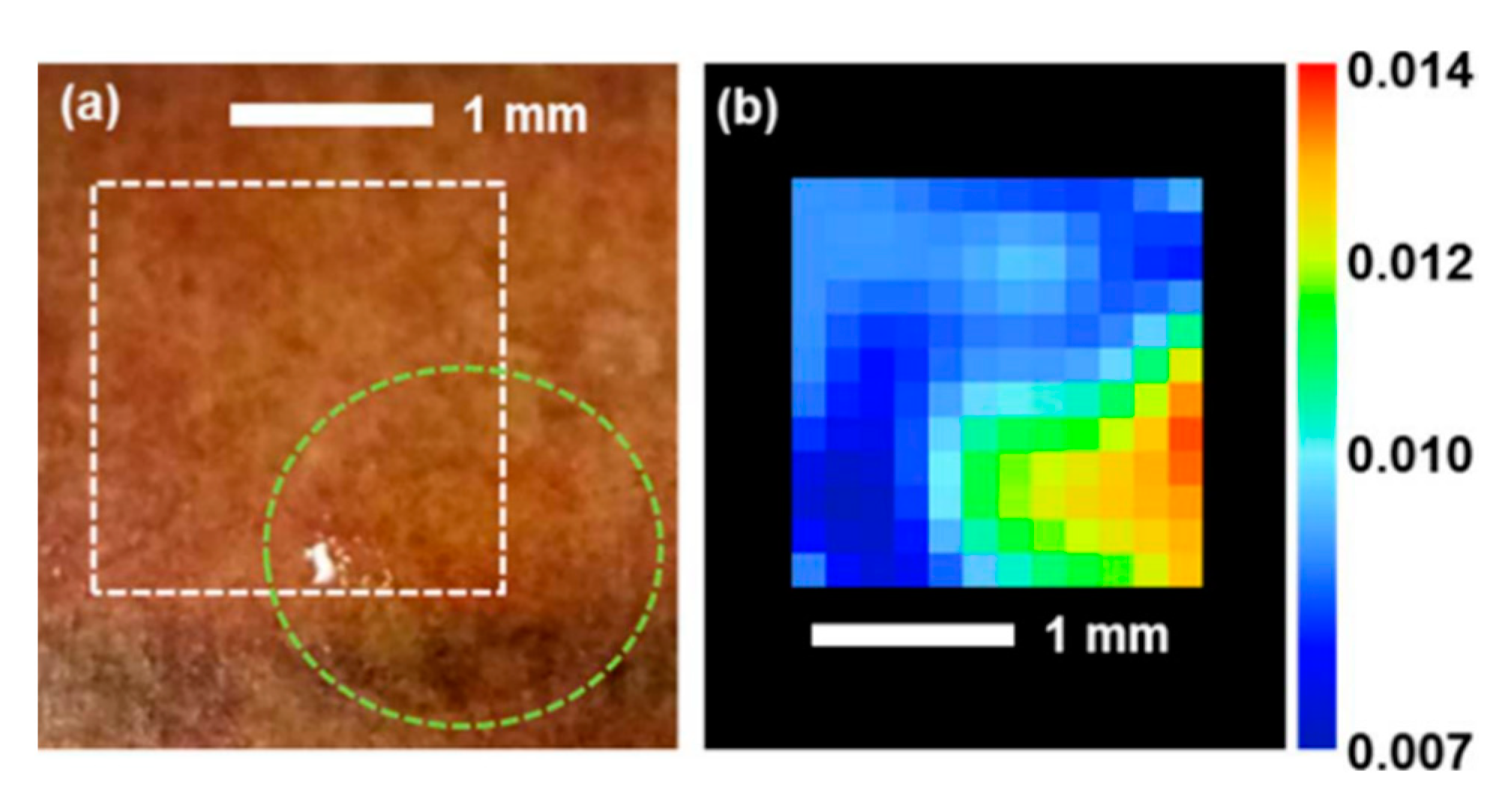 Photonics 08 00518 g005