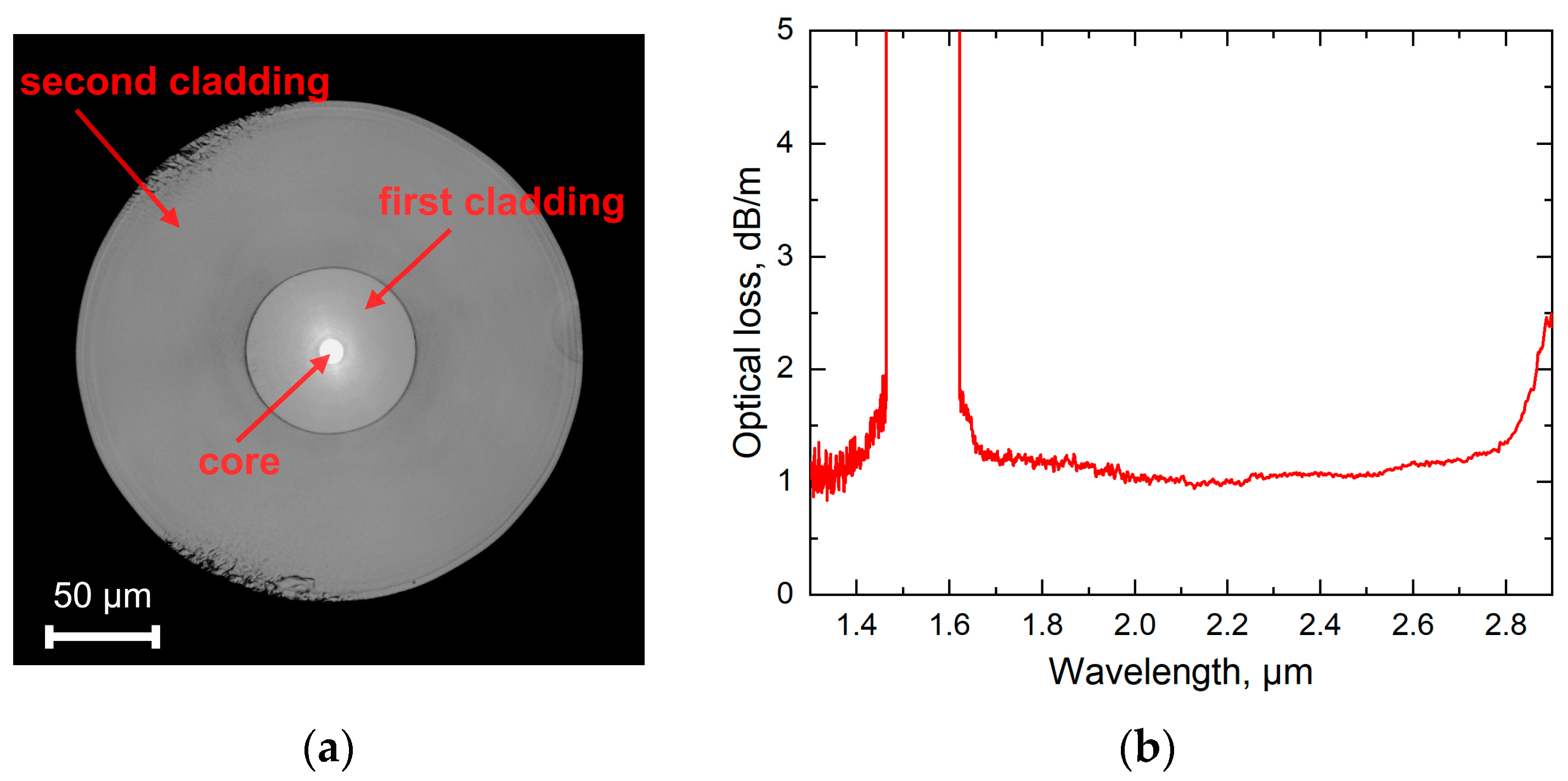 Photonics 10 01140 g003