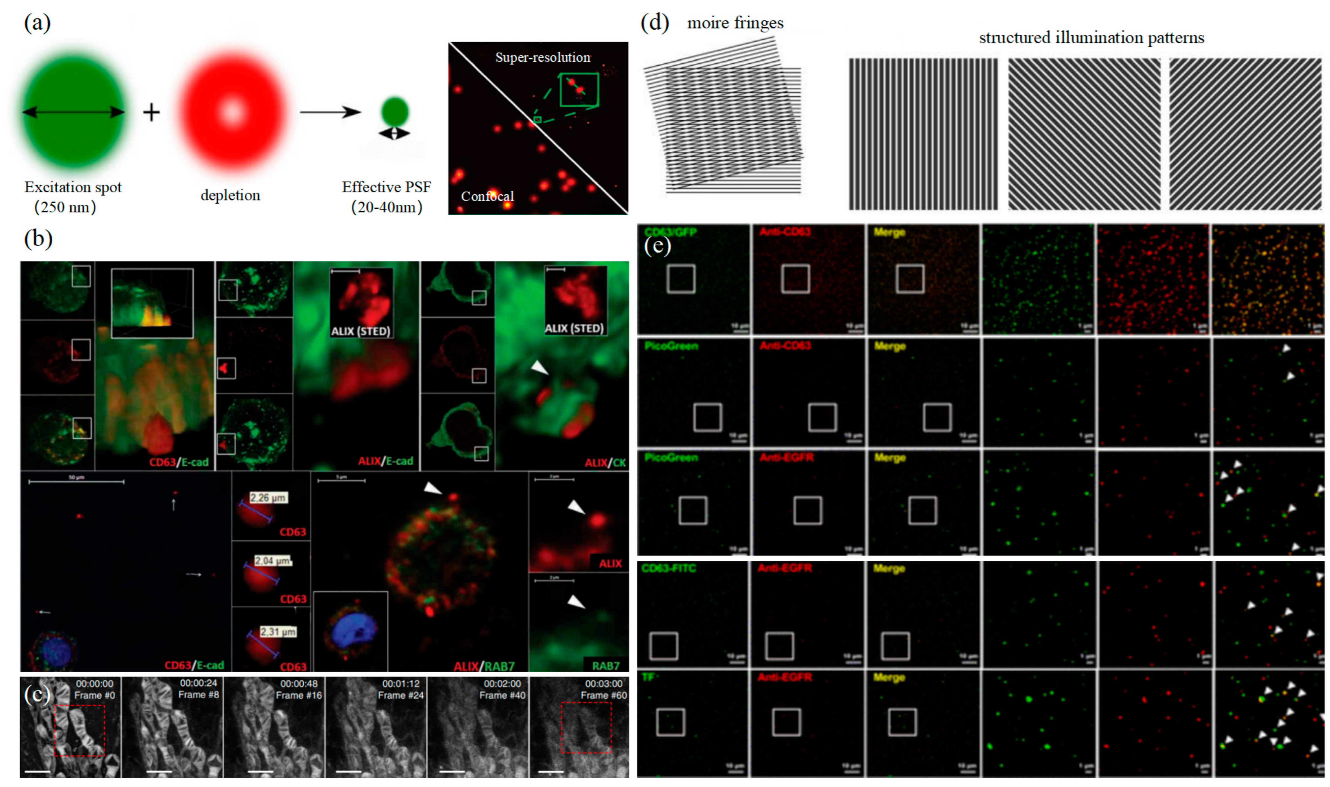 Photonics 11 00101 g007