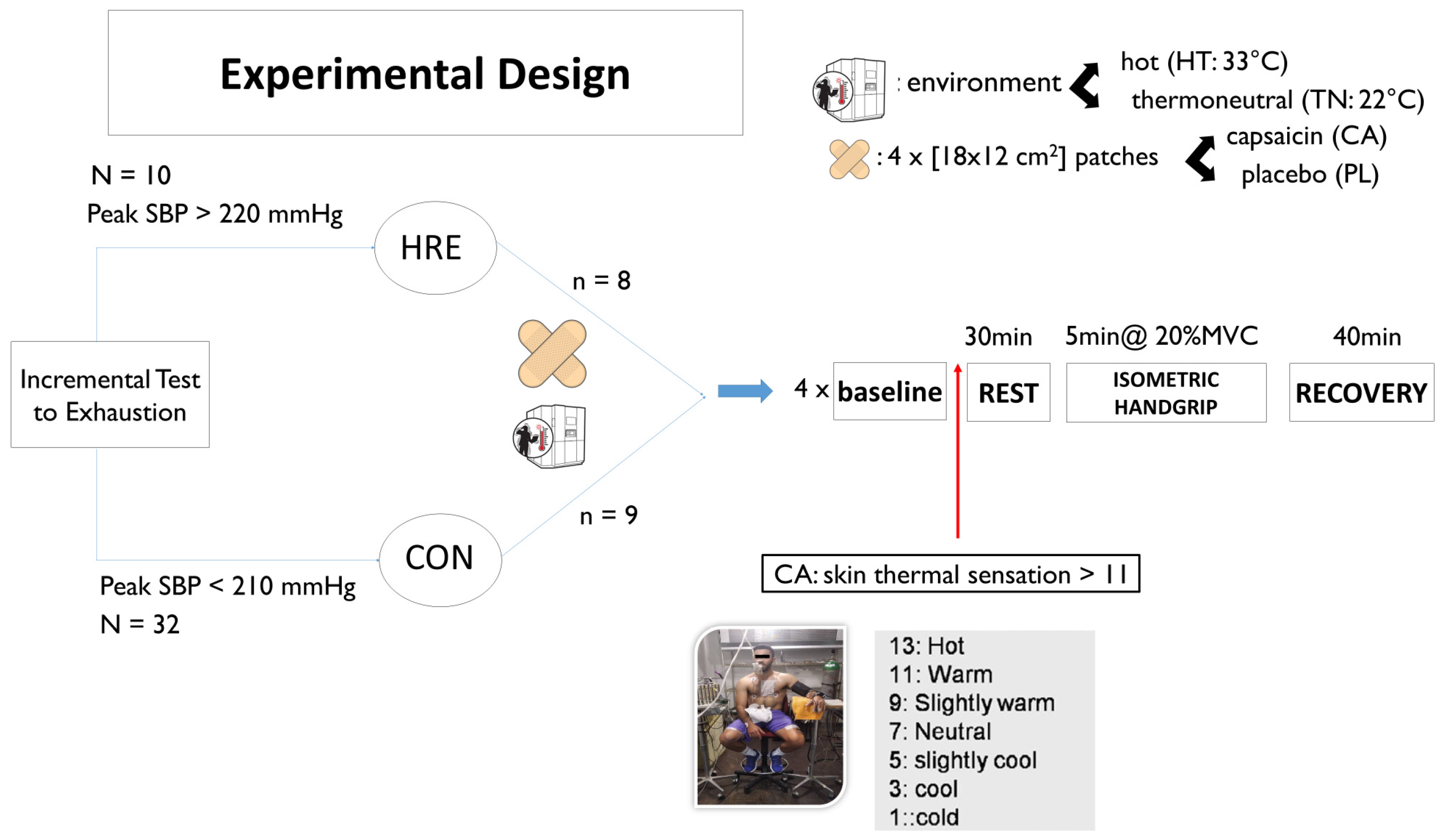 Physiologia 04 00004 g004