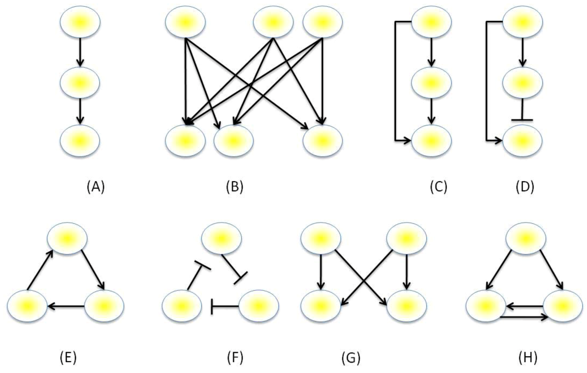 dynamical processes on complex networks pdf