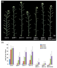 Plants 02 00416 g002 200