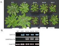Plants 03 00027 g001 200