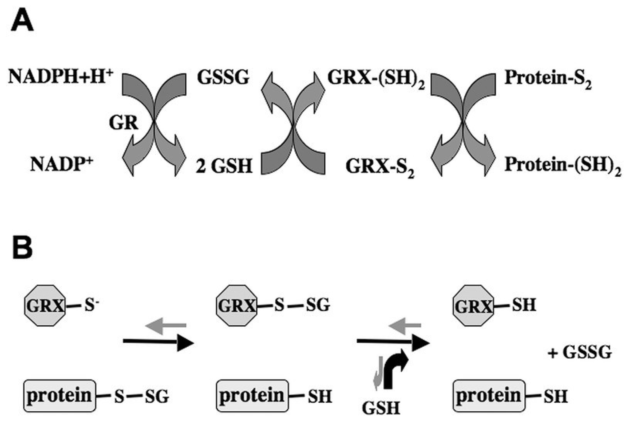 Plants 03 00559 g001