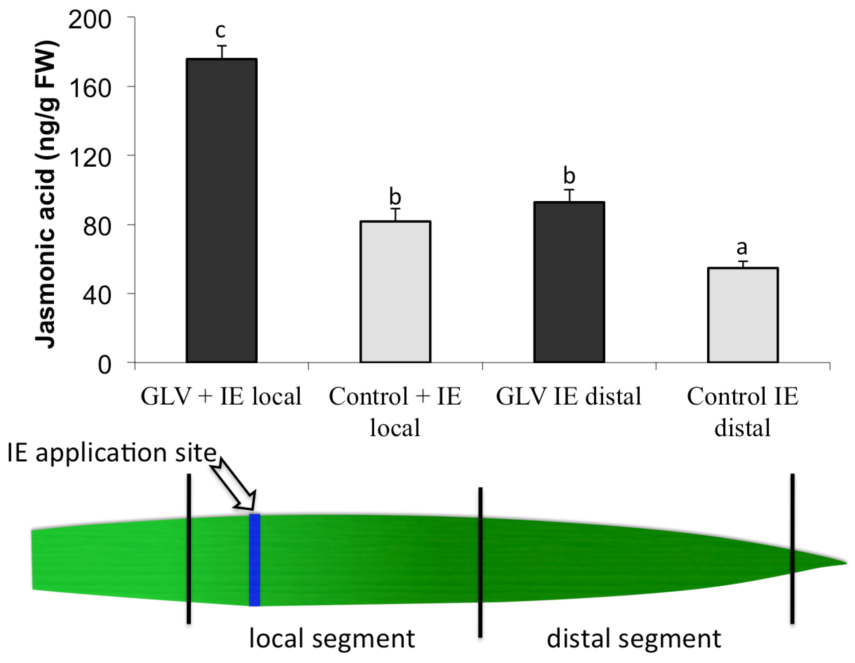 Plants 05 00005 g001