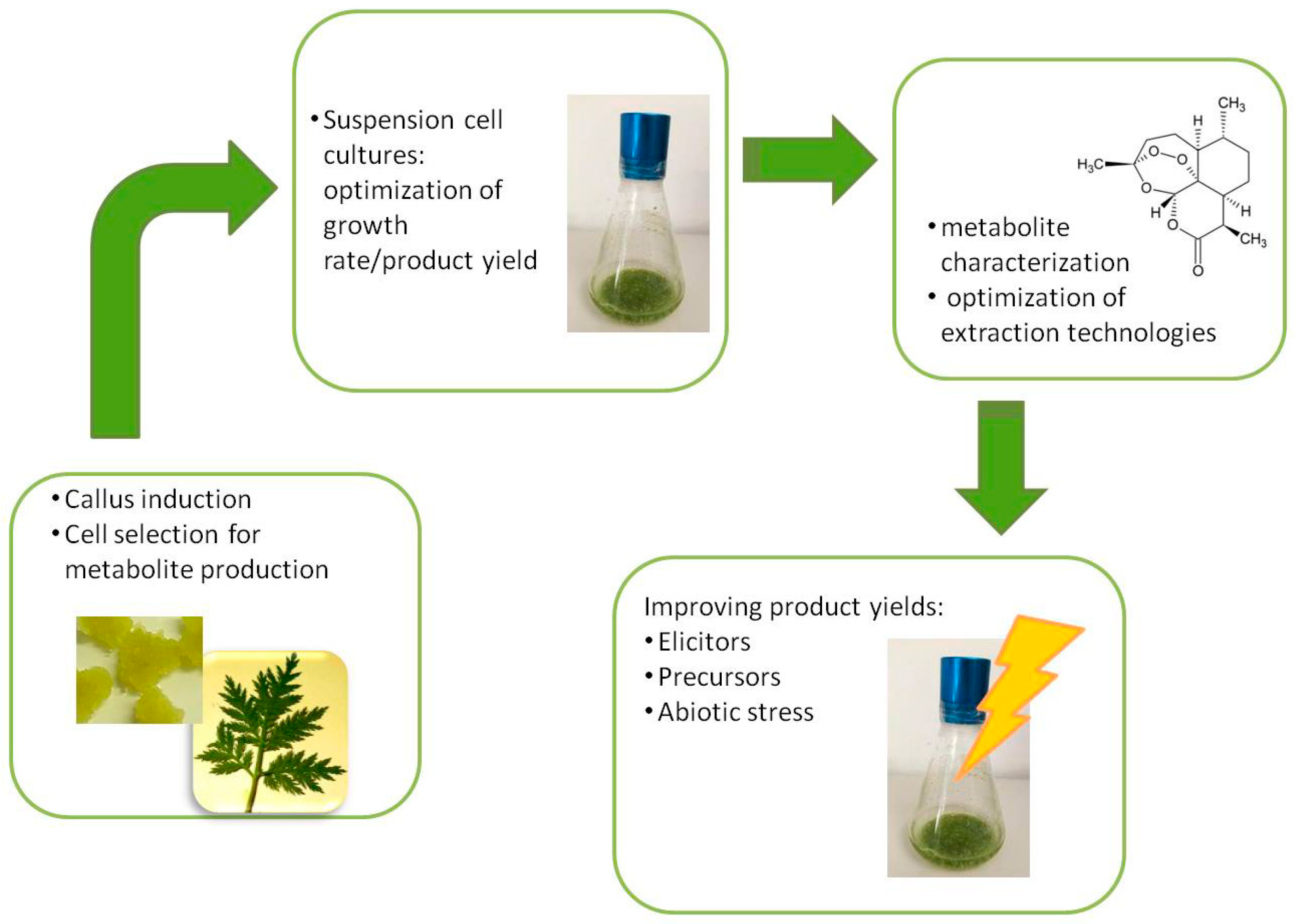 Plants 08 00018 g002