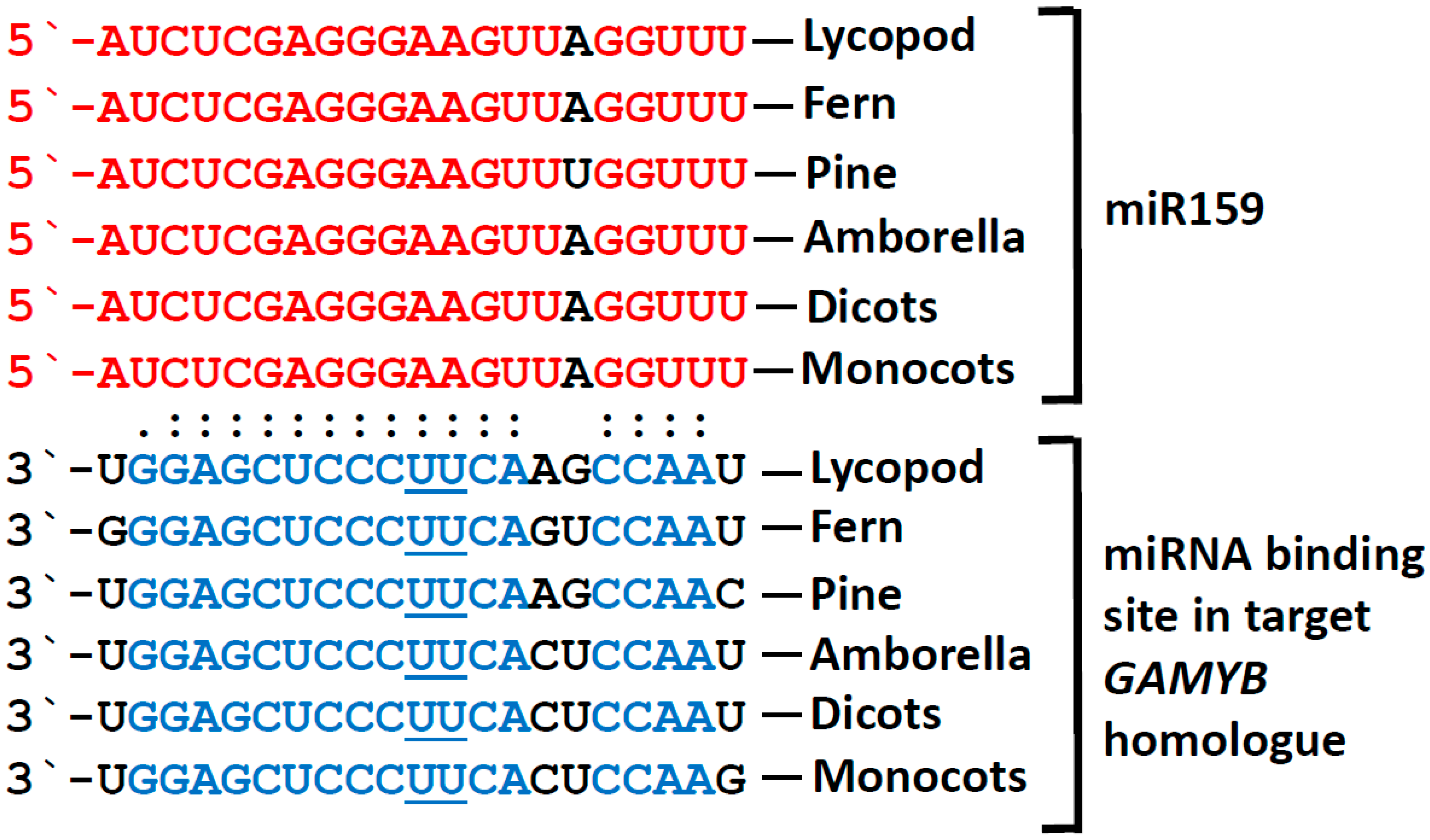 Plants 08 00255 g001