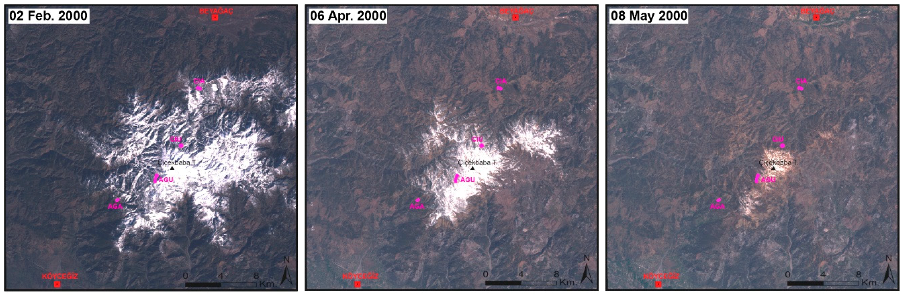 Plants 08 00276 g003