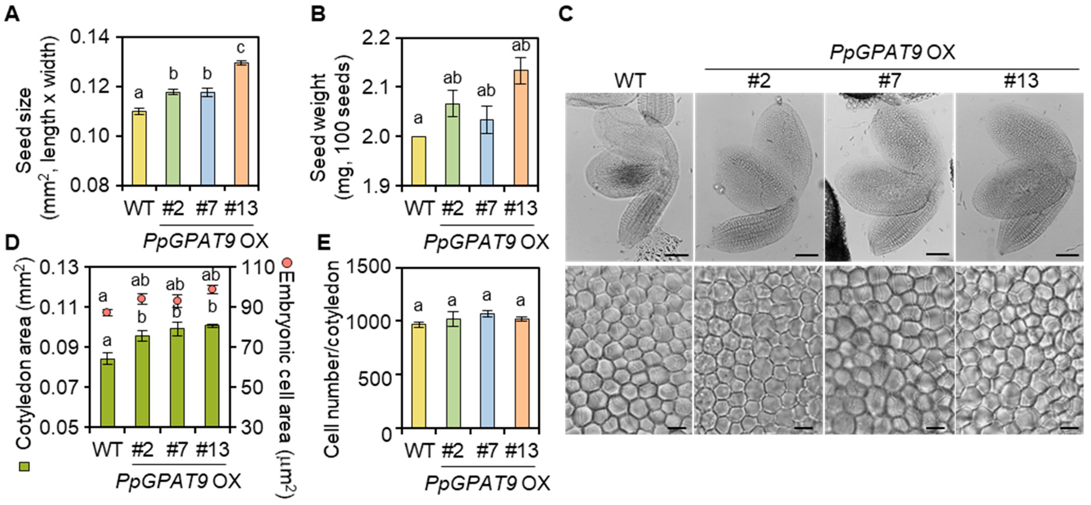 Plants 08 00284 g005