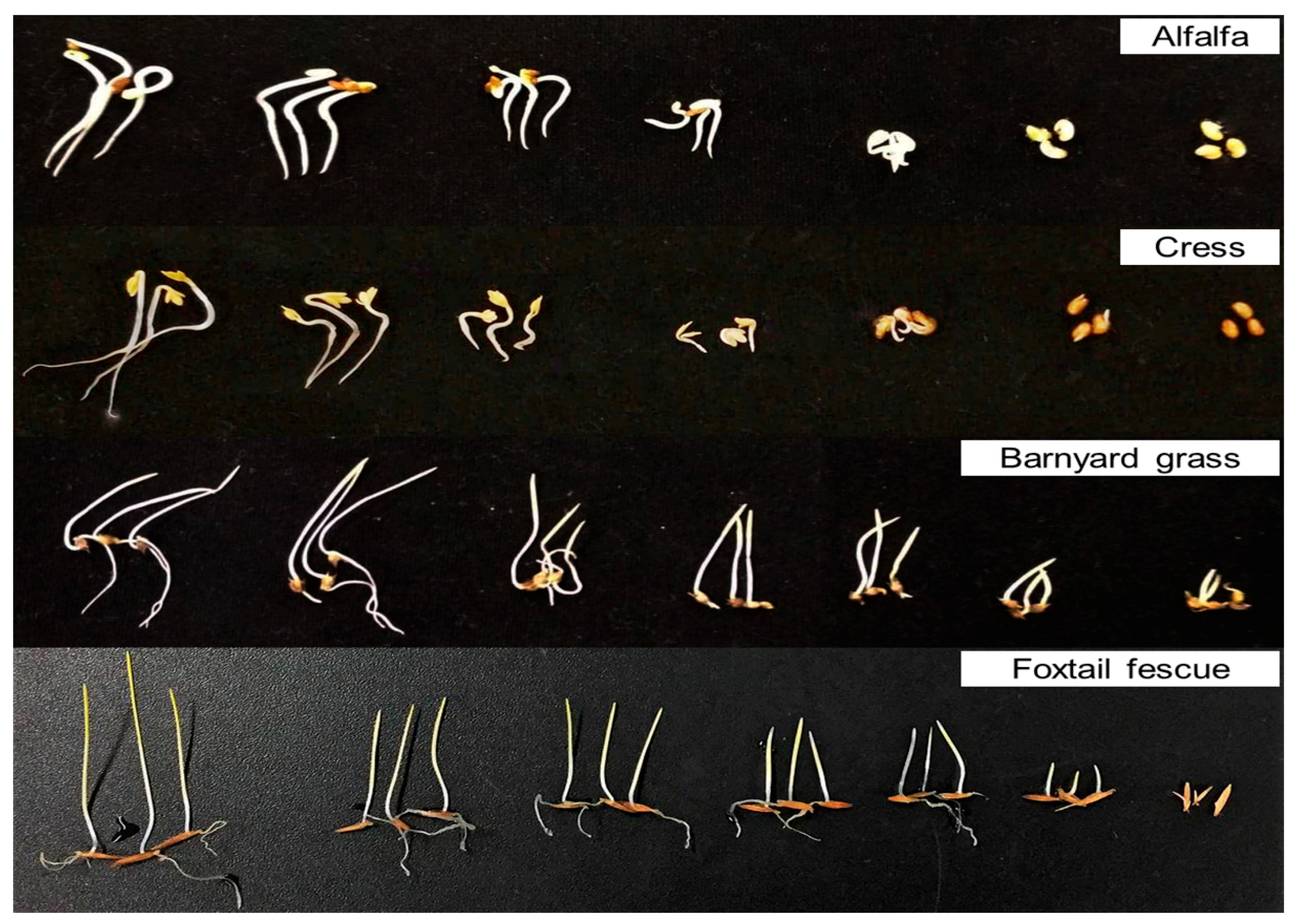 Plants 08 00301 g002