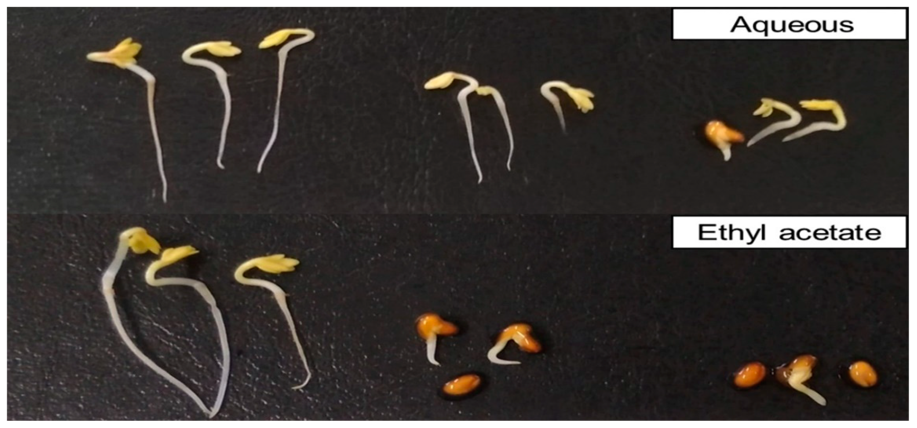 Plants 08 00301 g004