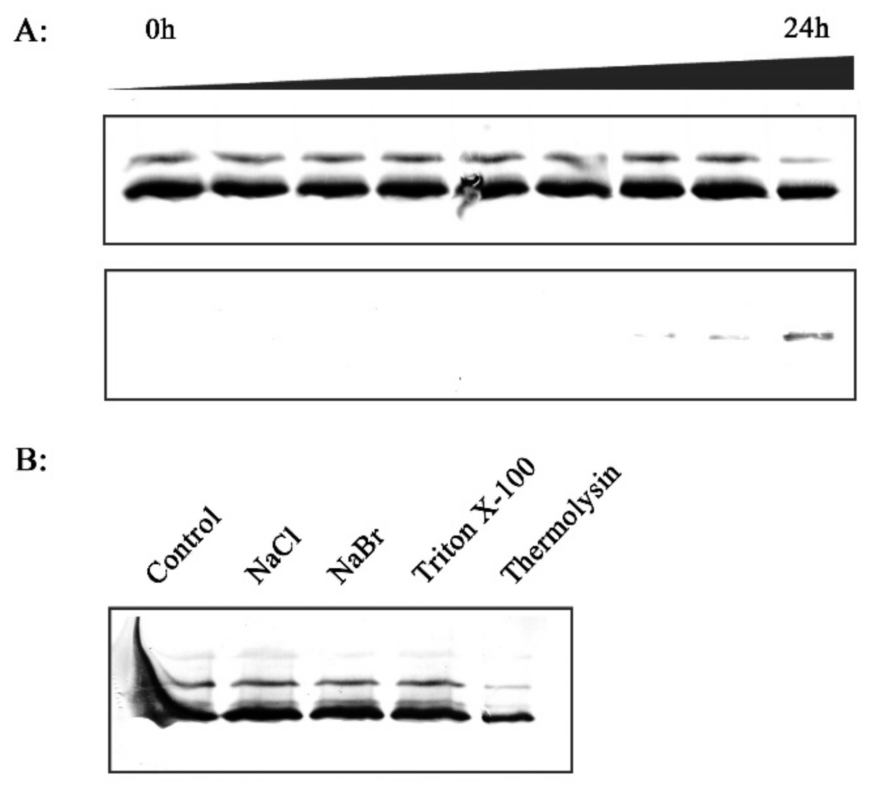 Plants 08 00351 g003
