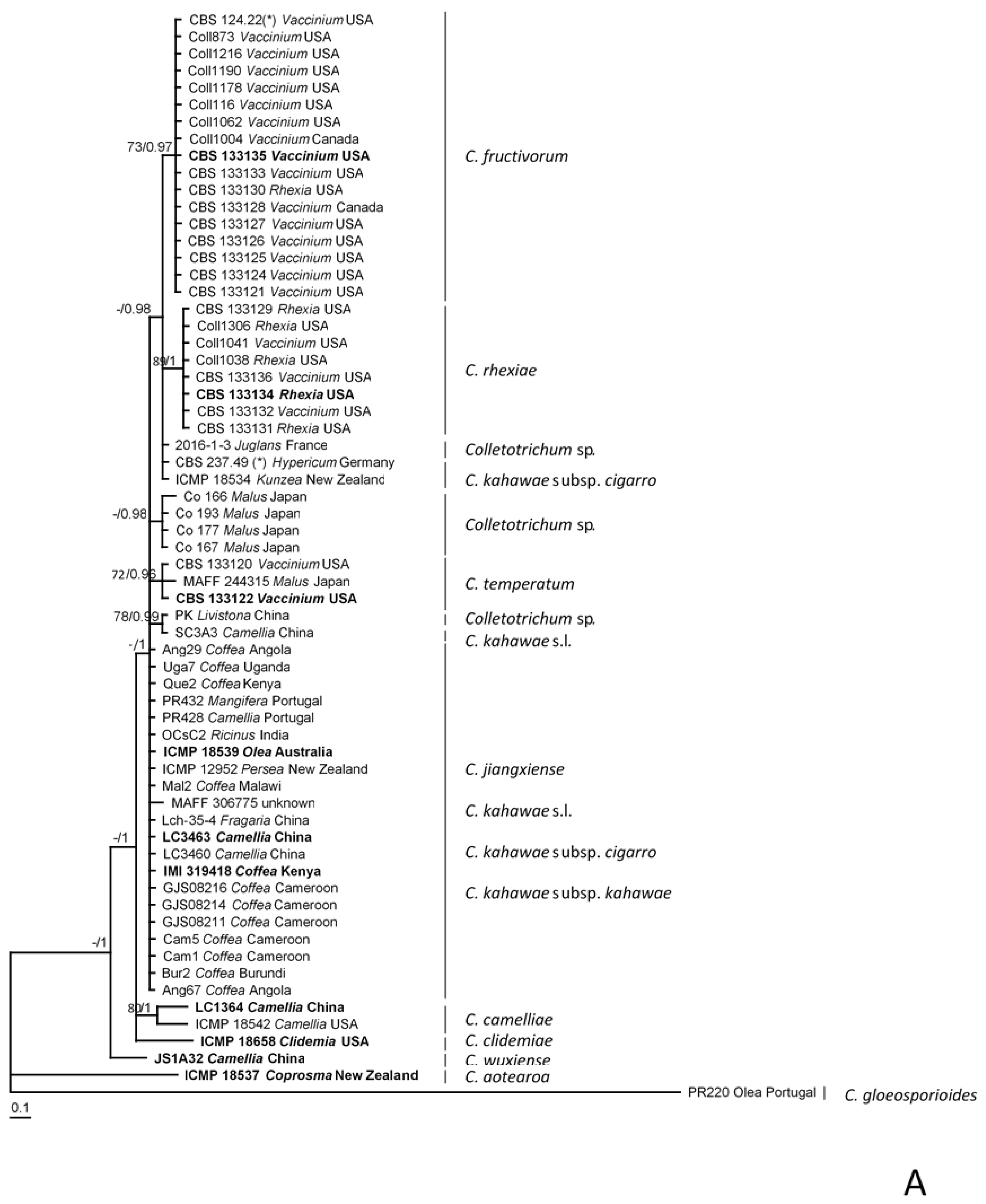 Plants 09 00502 g002a