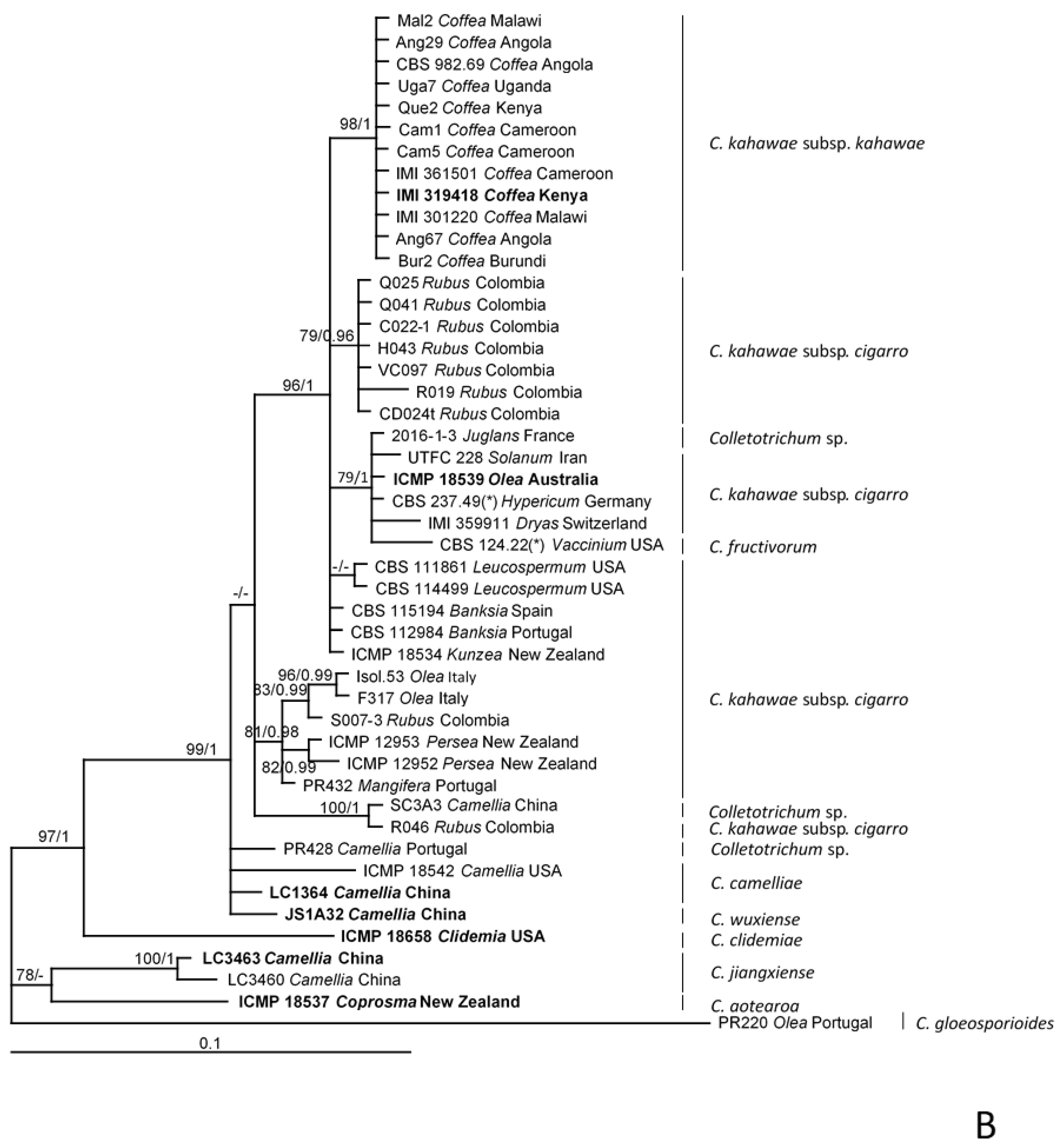Plants 09 00502 g002b