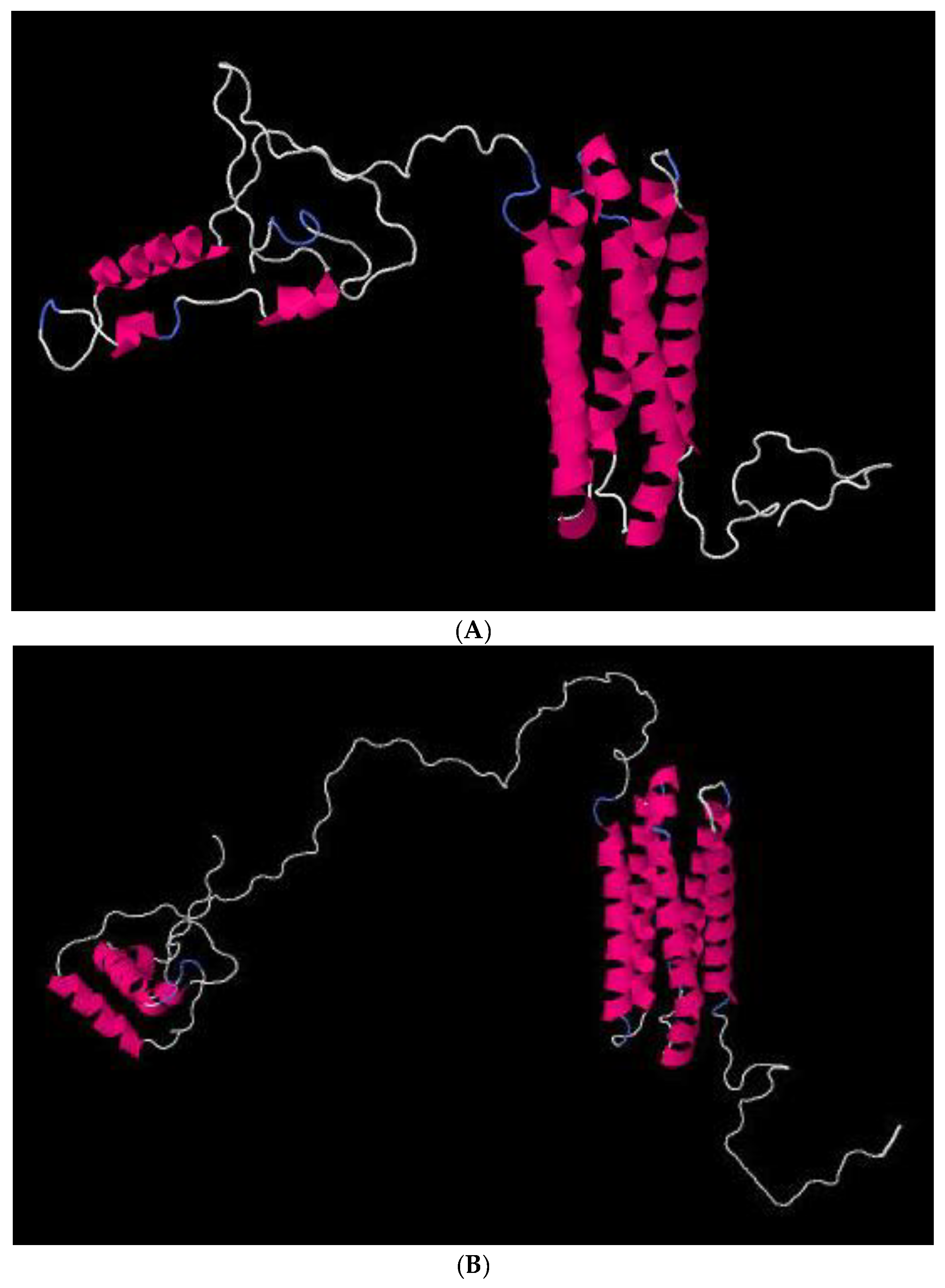Plants 09 00502 g004