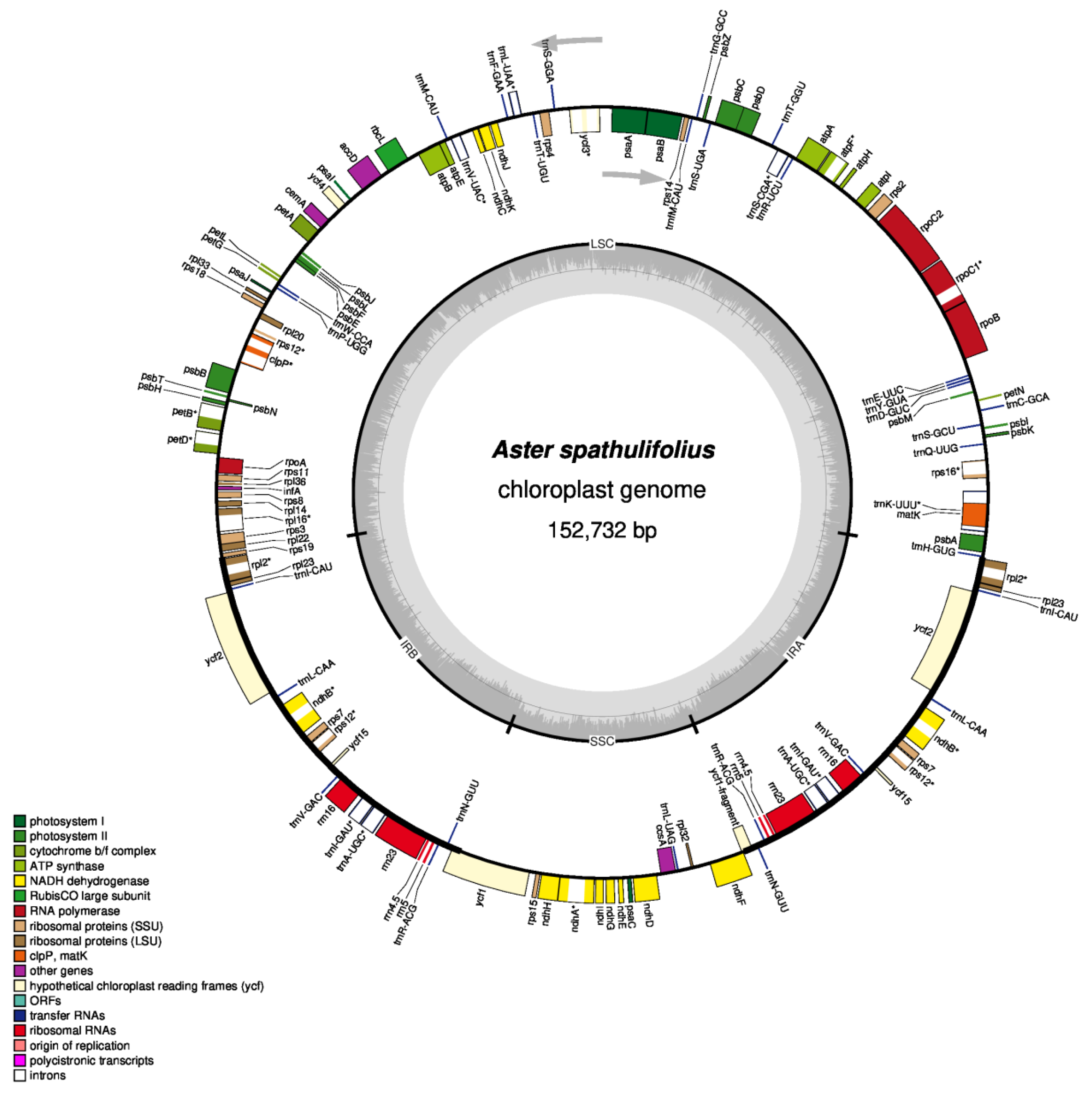 Plants 09 00568 g001 Plants 09 00568 g001
