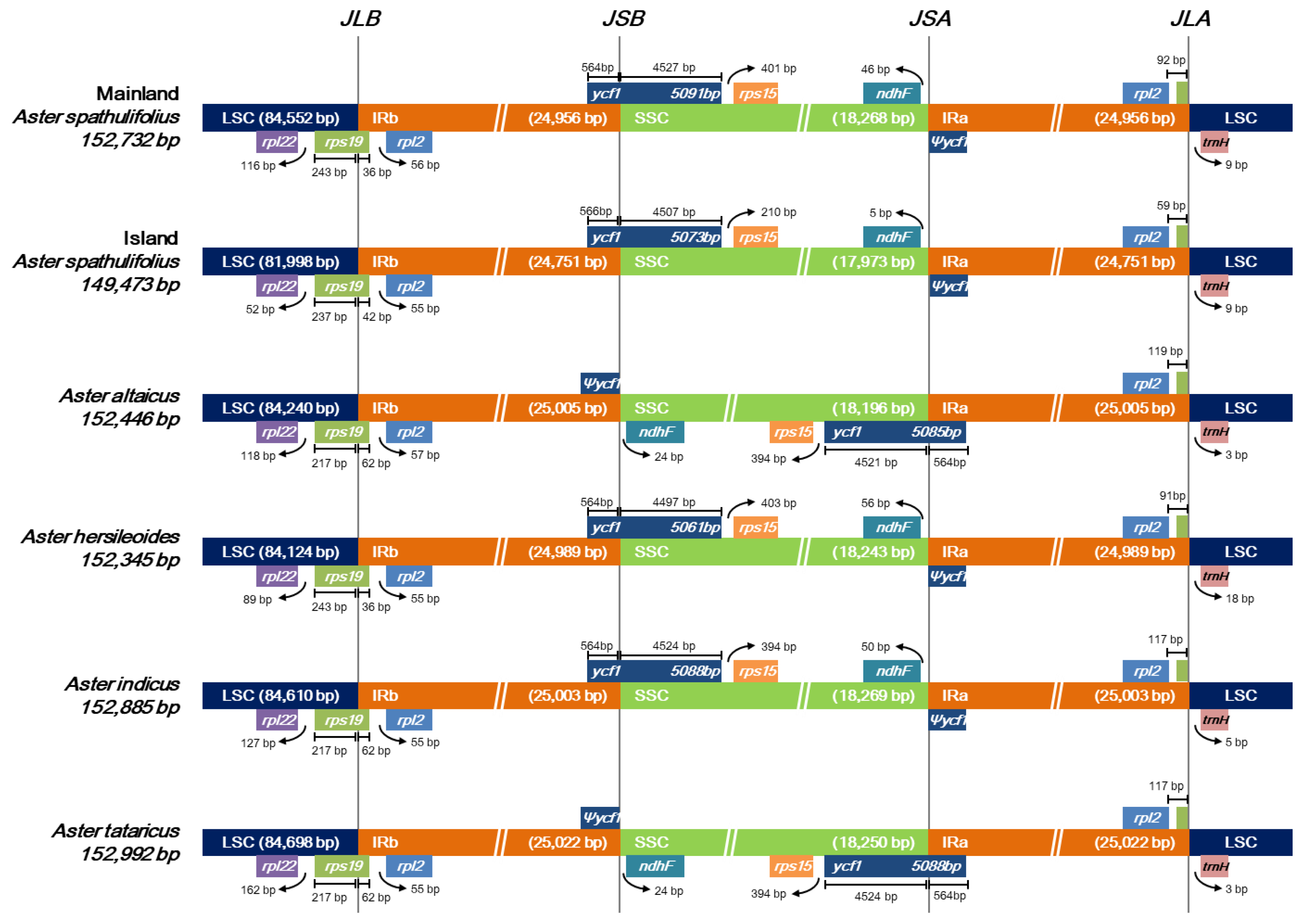 Plants 09 00568 g003 Plants 09 00568 g003