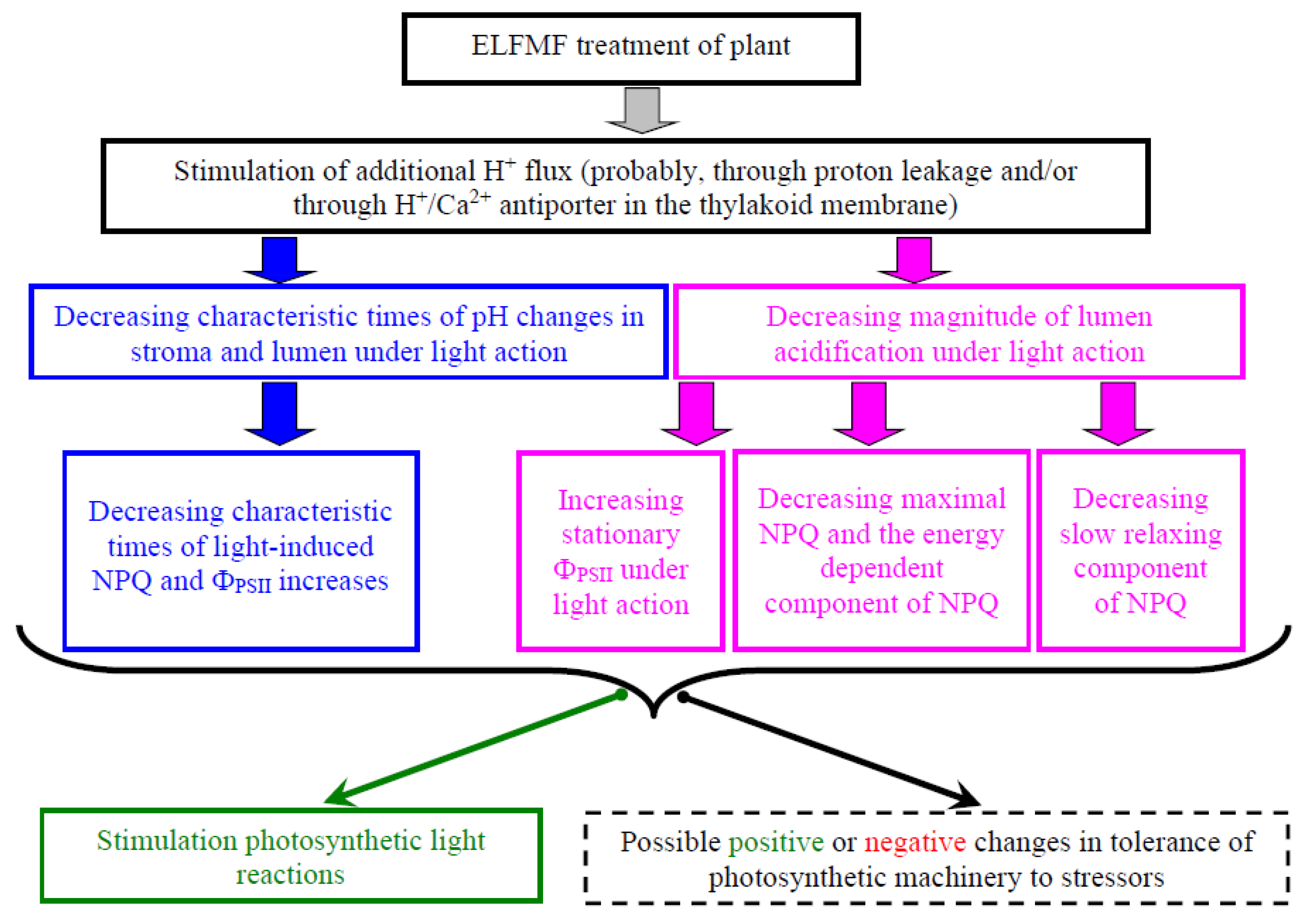 Plants 10 02207 g009