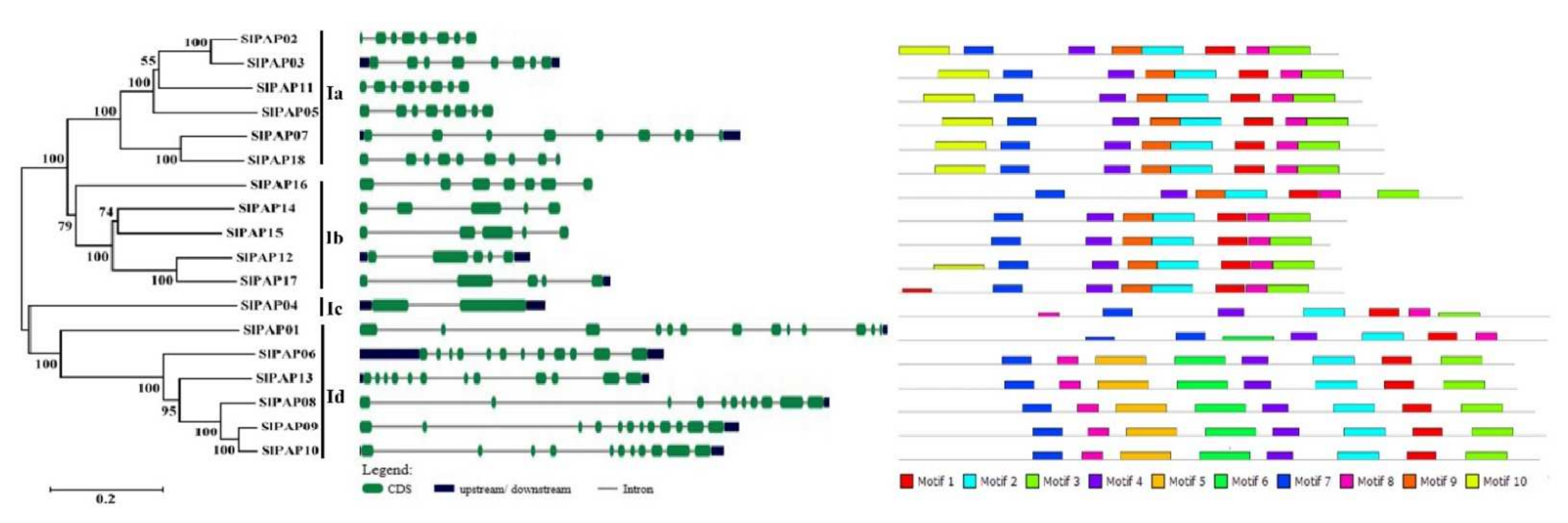Plants 11 00563 g002