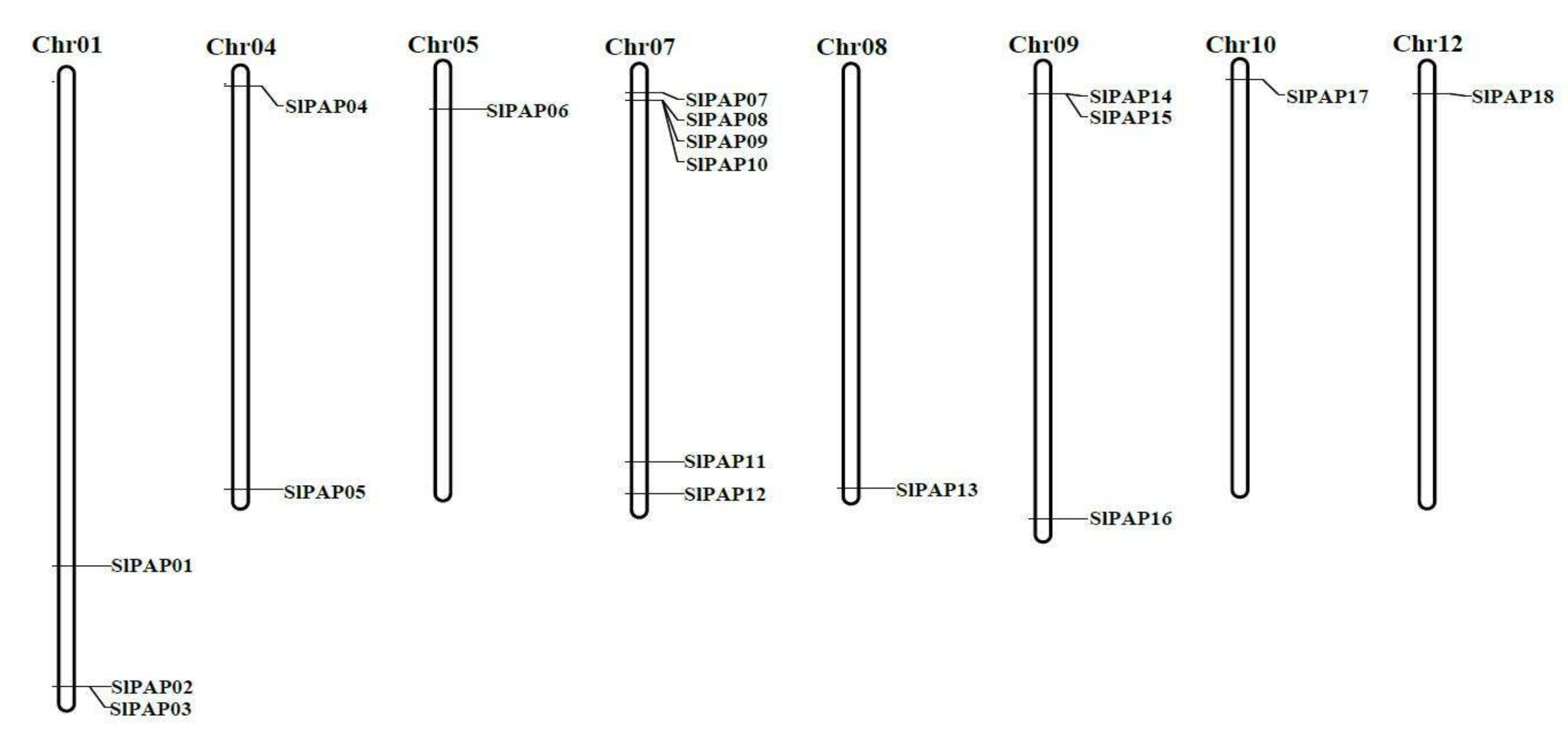 Plants 11 00563 g003