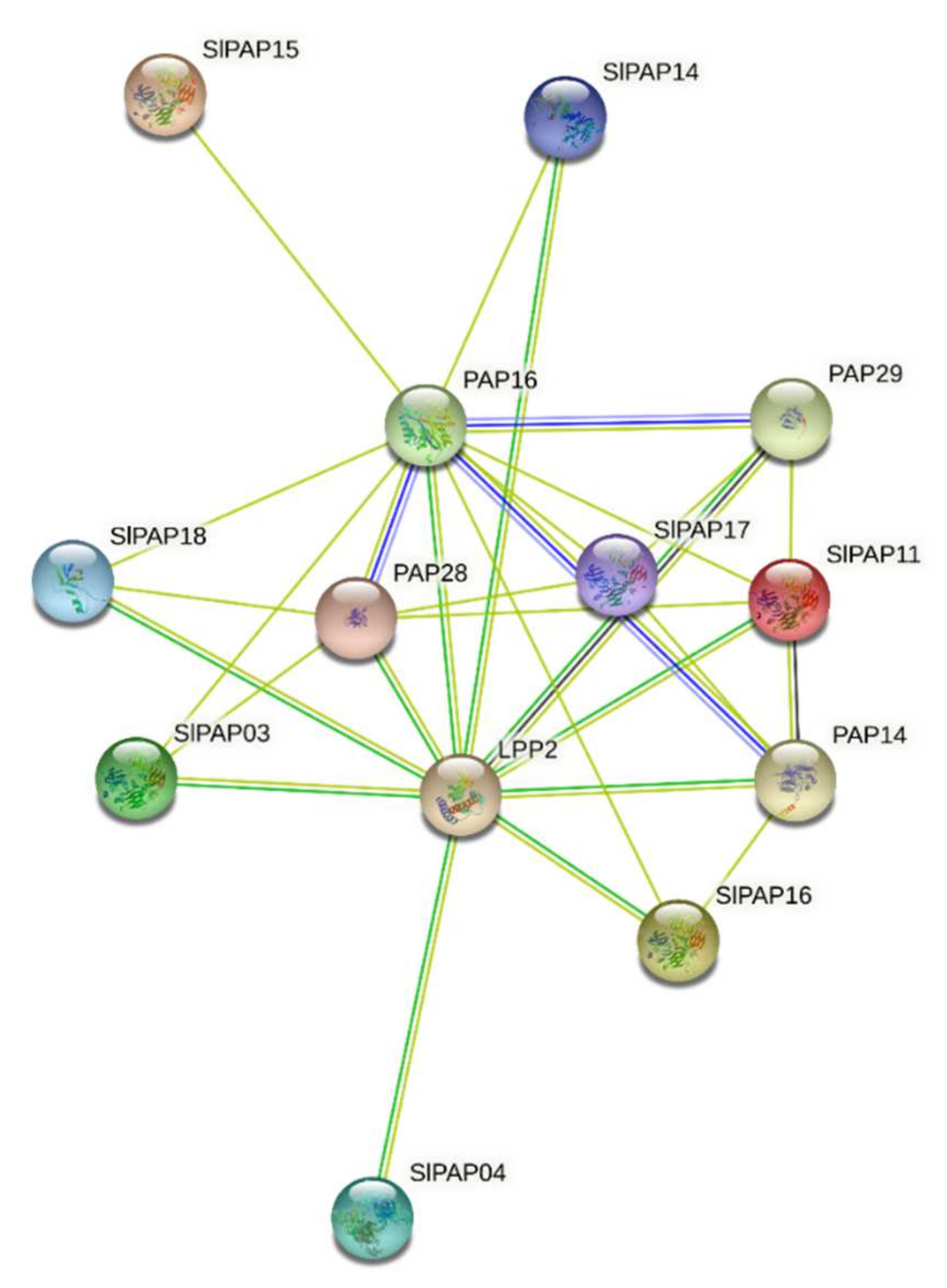 Plants 11 00563 g007