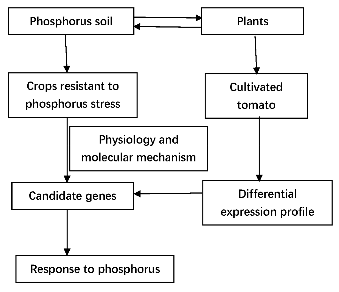 Plants 11 00563 g008