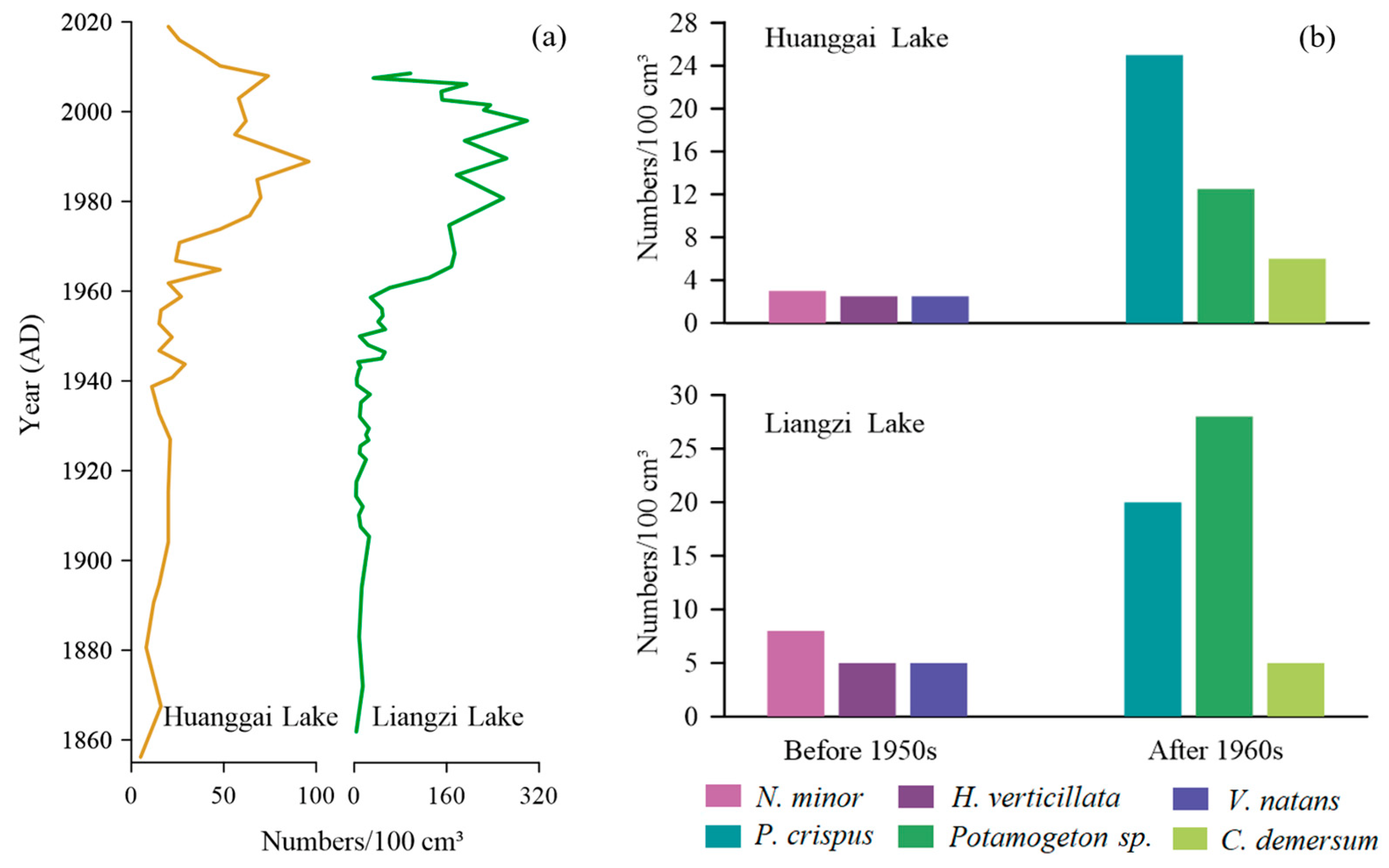 Plants 11 01413 g007