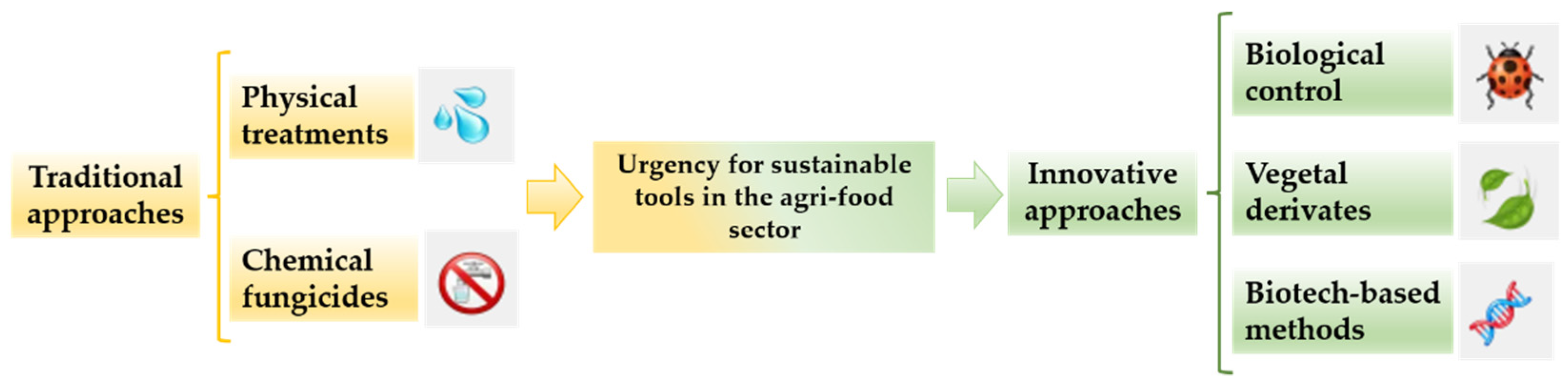 Plants 11 01856 g002