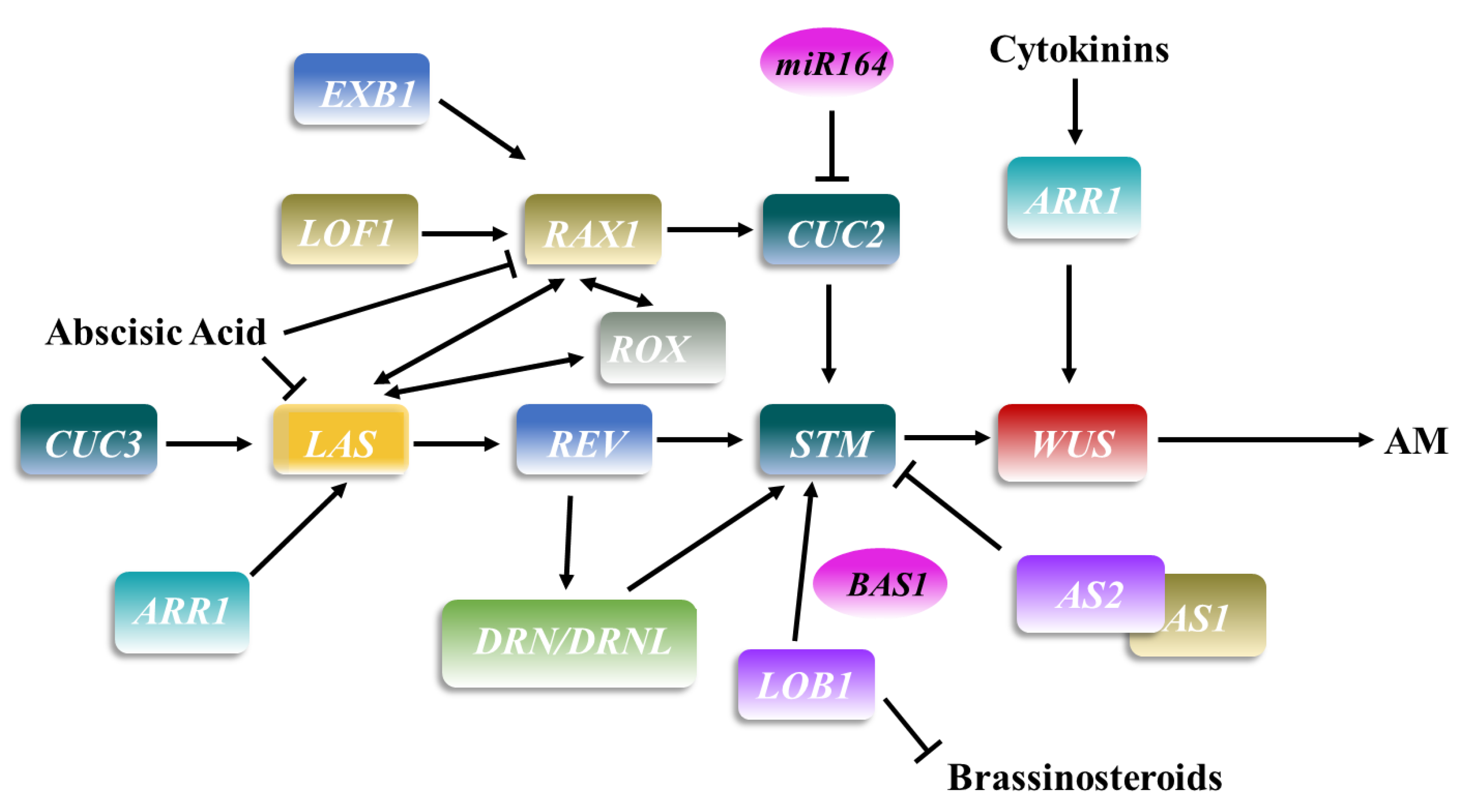 Plants 11 01997 g002