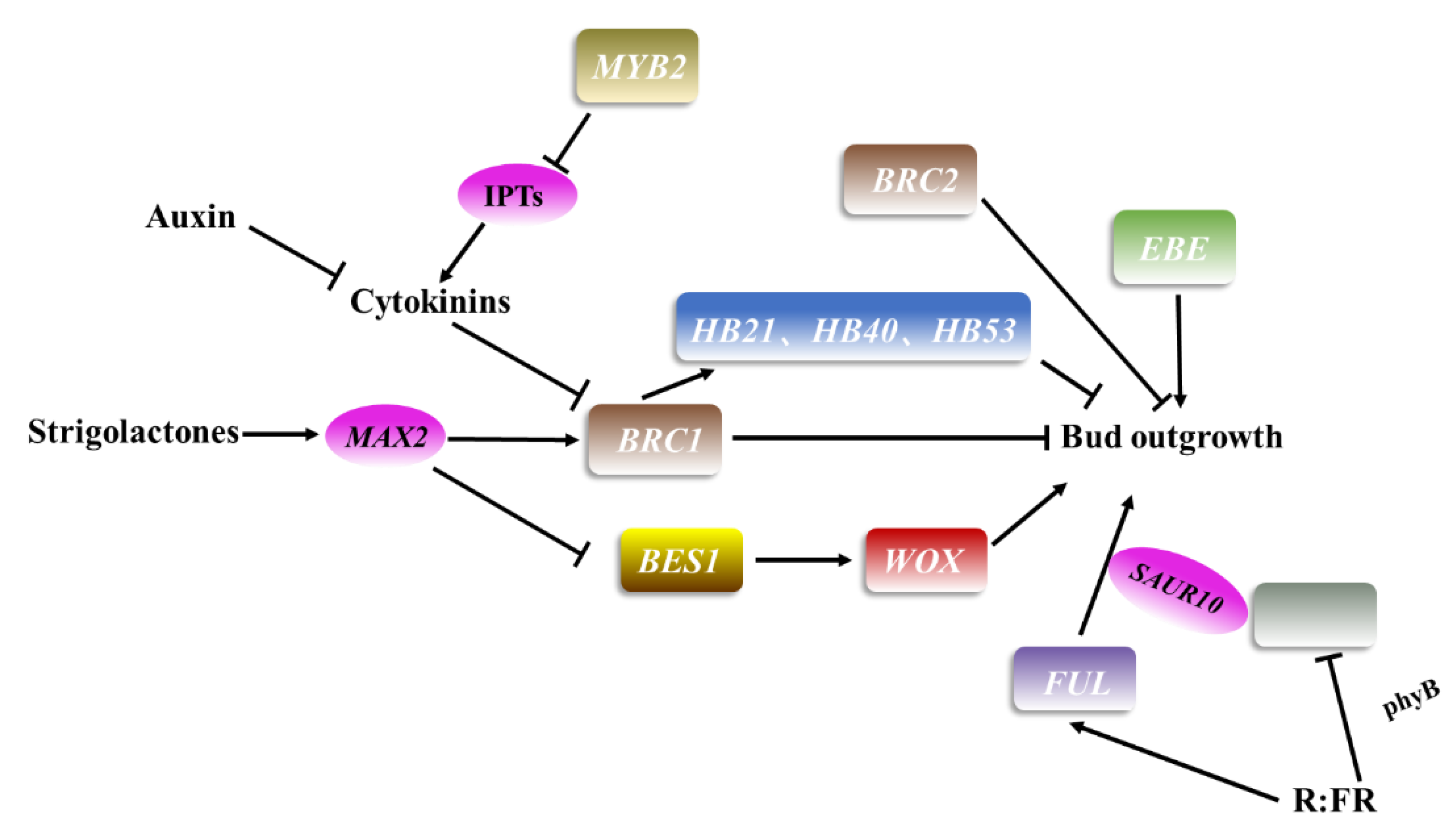 Plants 11 01997 g003