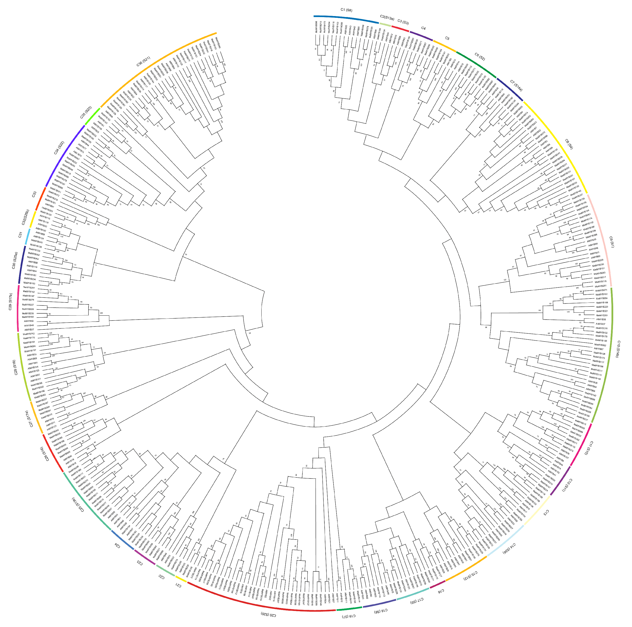 Plants 12 00152 g001