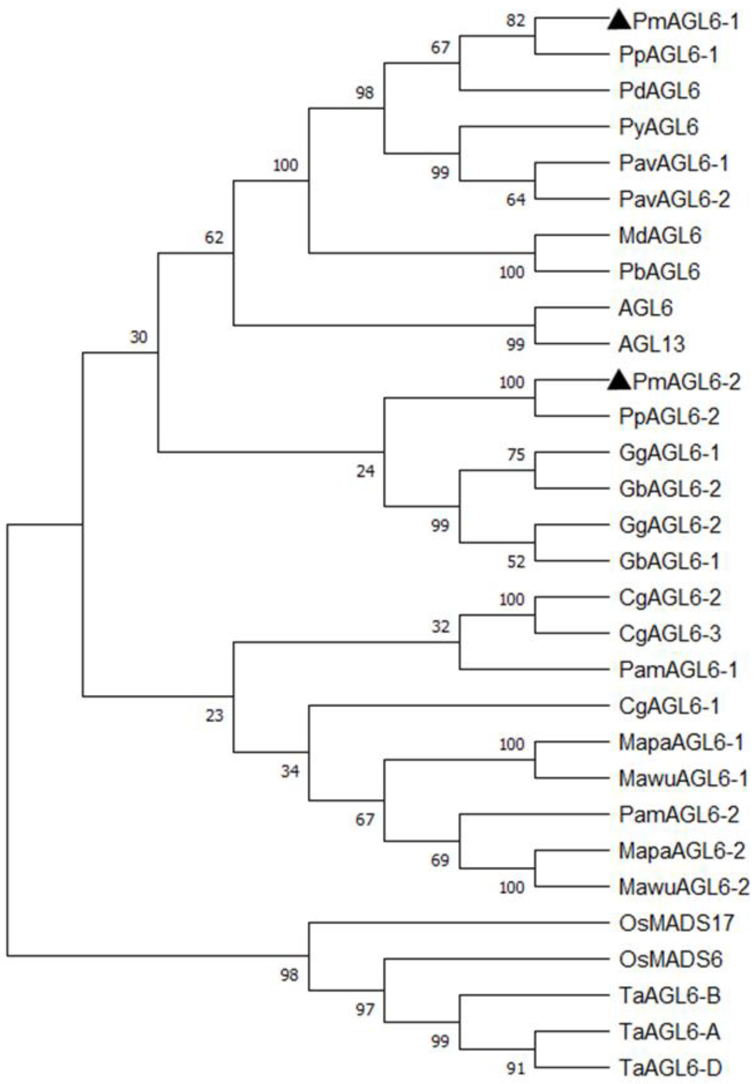 Plants 12 00158 g002