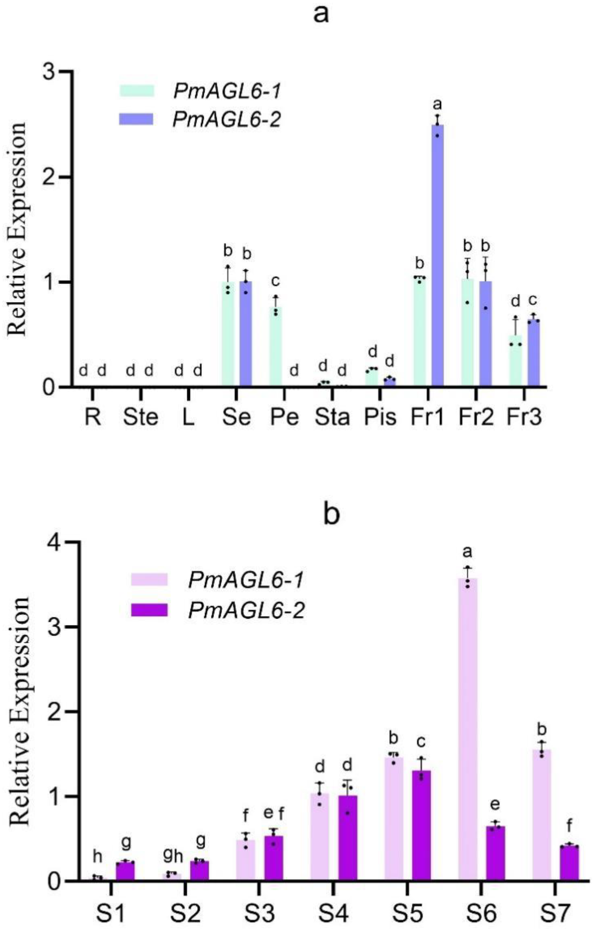 Plants 12 00158 g003