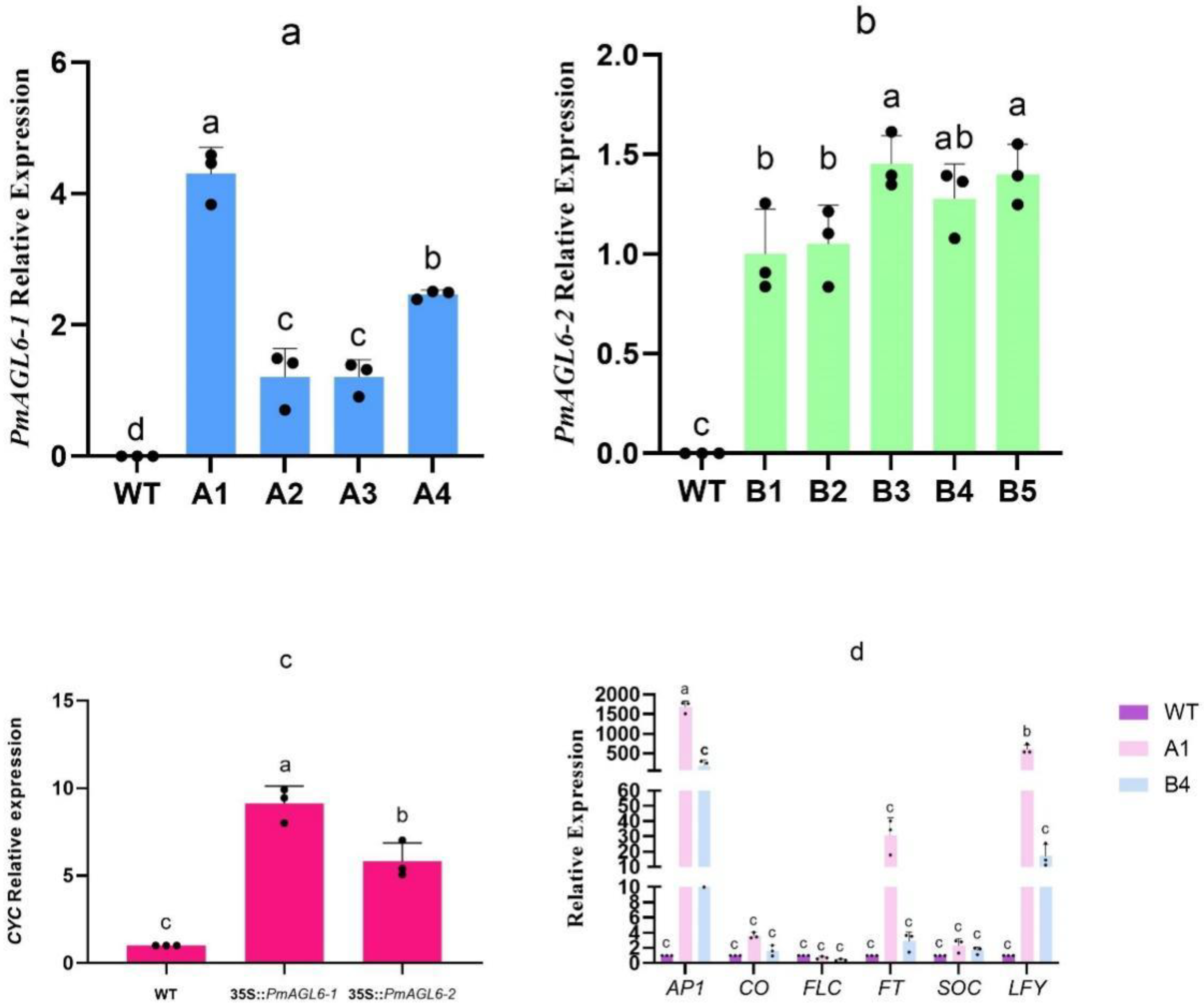 Plants 12 00158 g005