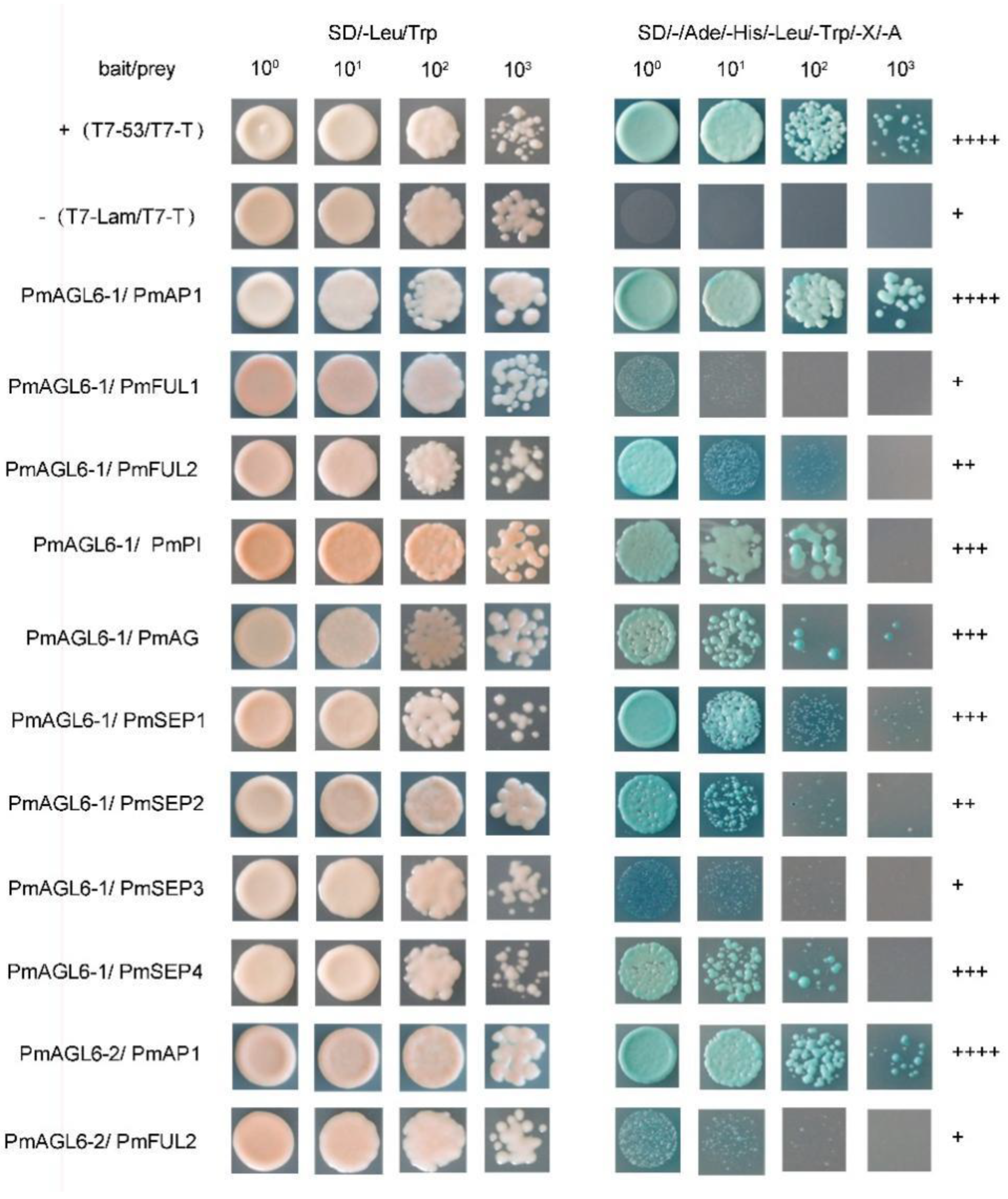 Plants 12 00158 g006a