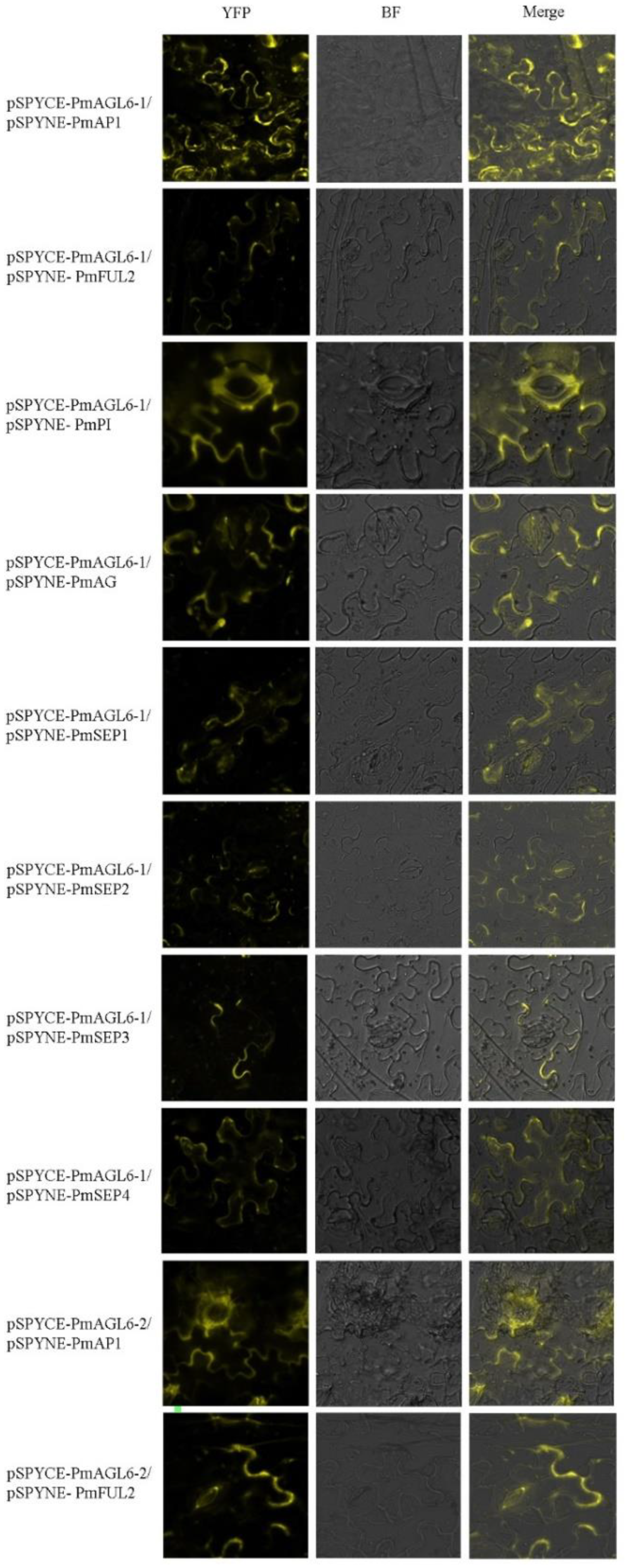 Plants 12 00158 g007a