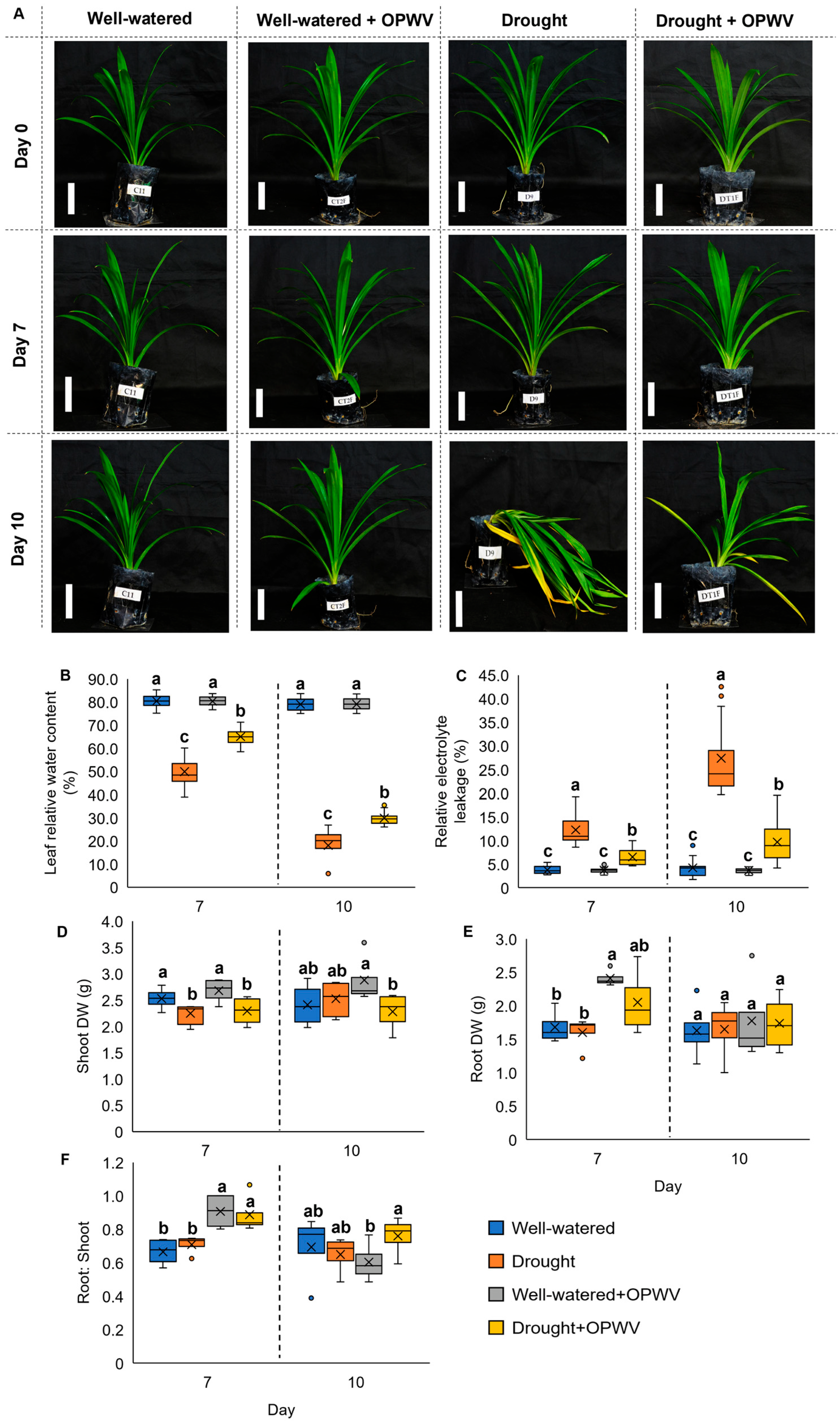 Plants 12 00785 g003