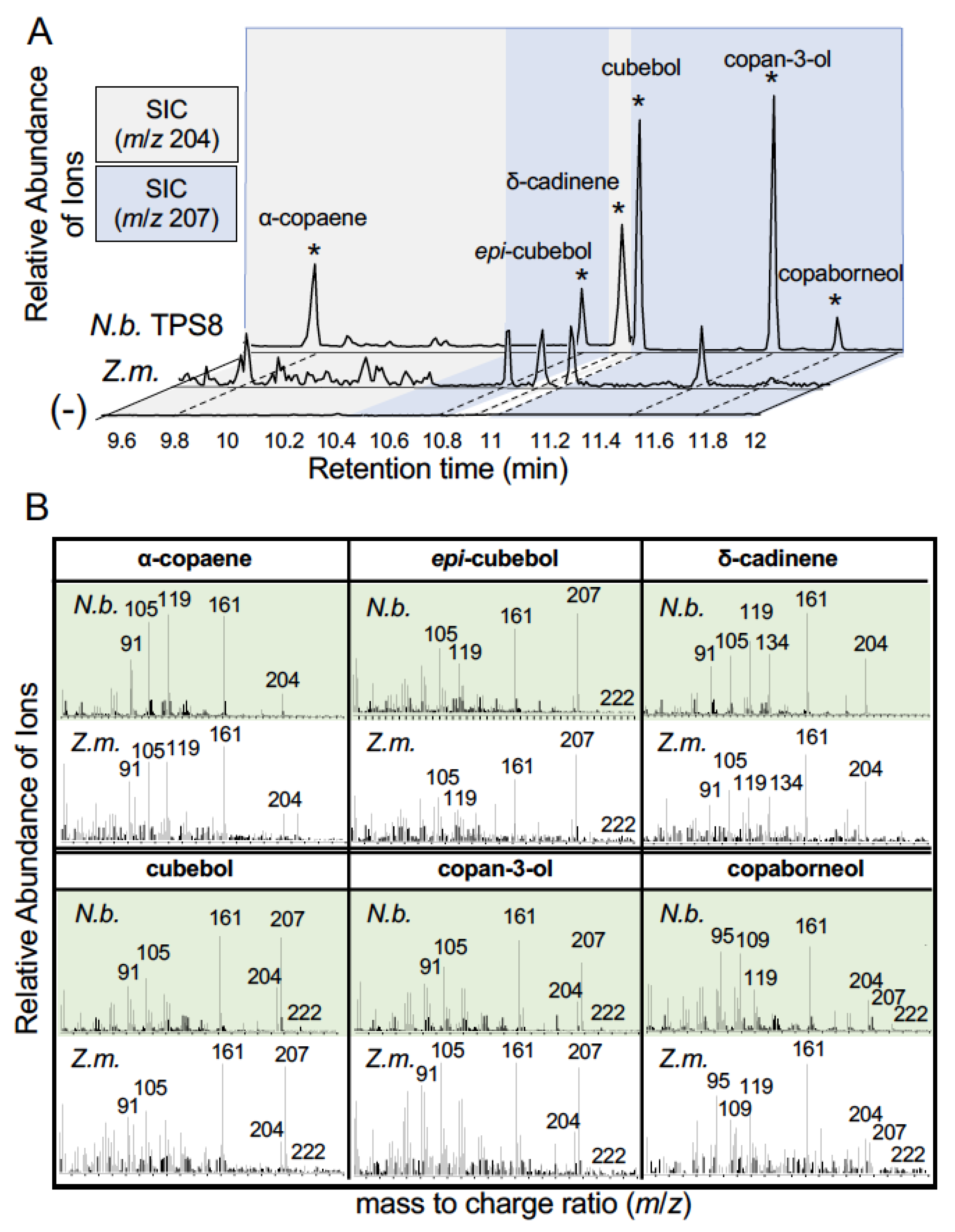 Plants 12 01111 g004