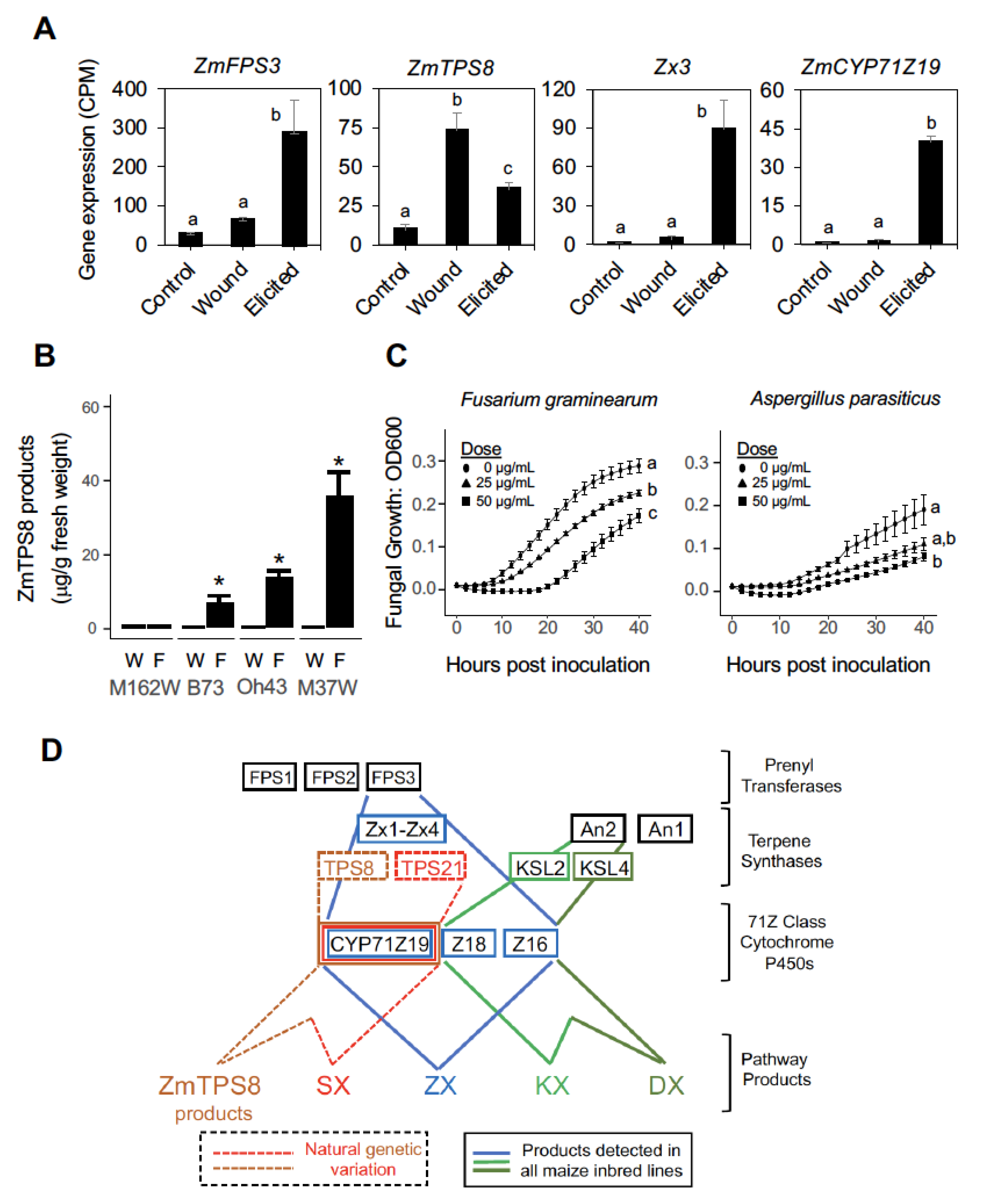 Plants 12 01111 g006