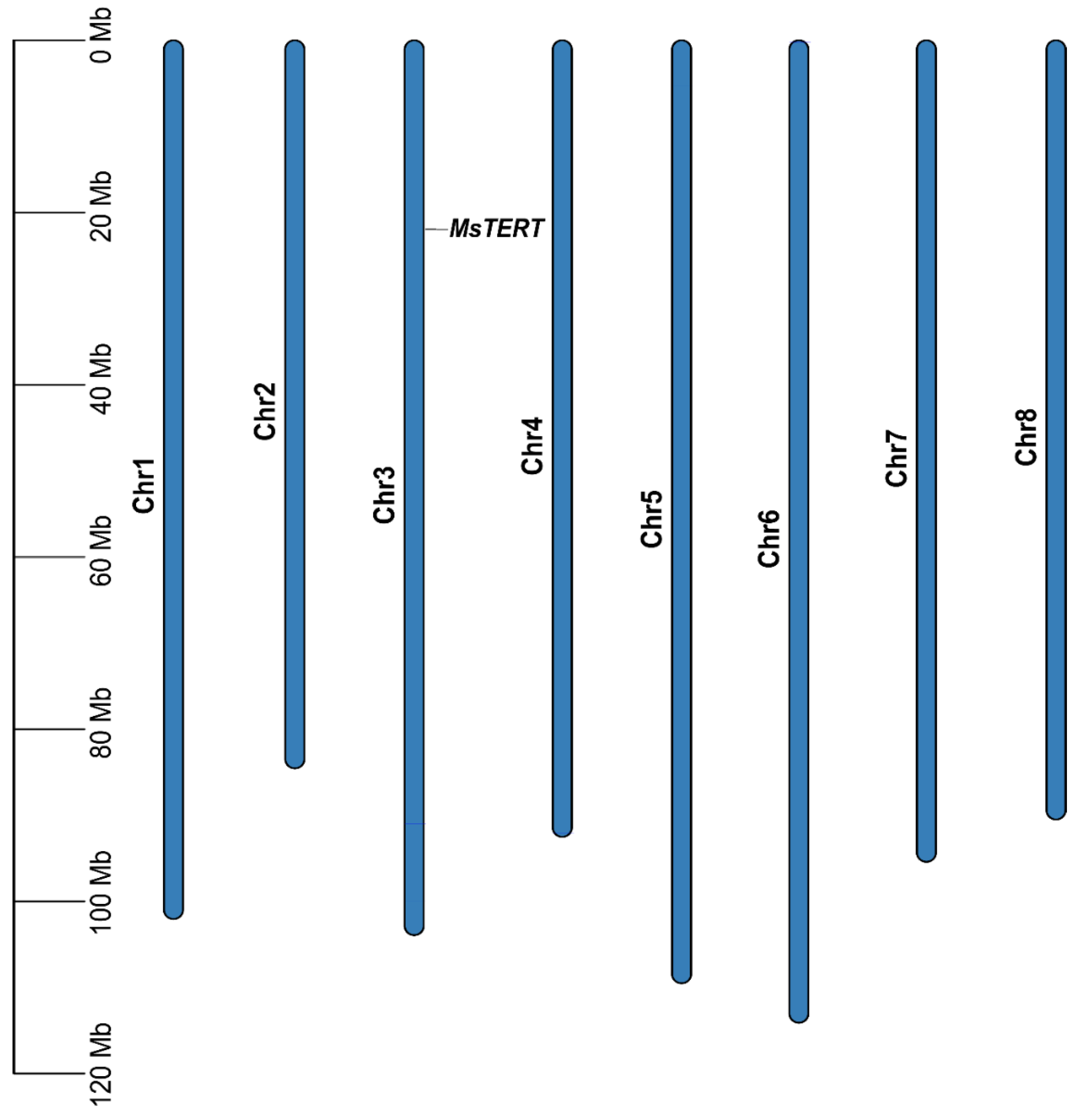 Plants 12 02036 g001