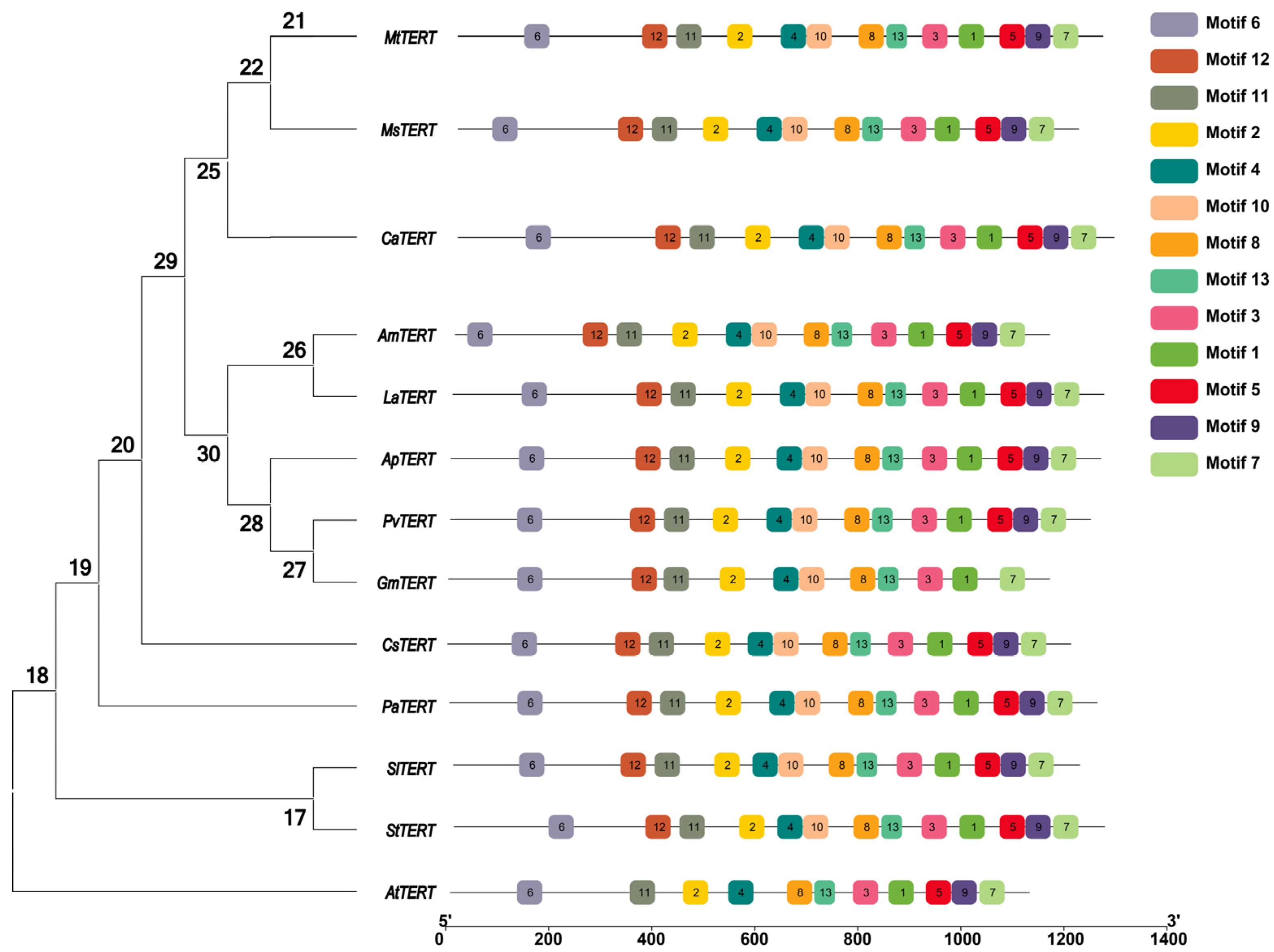 Plants 12 02036 g002