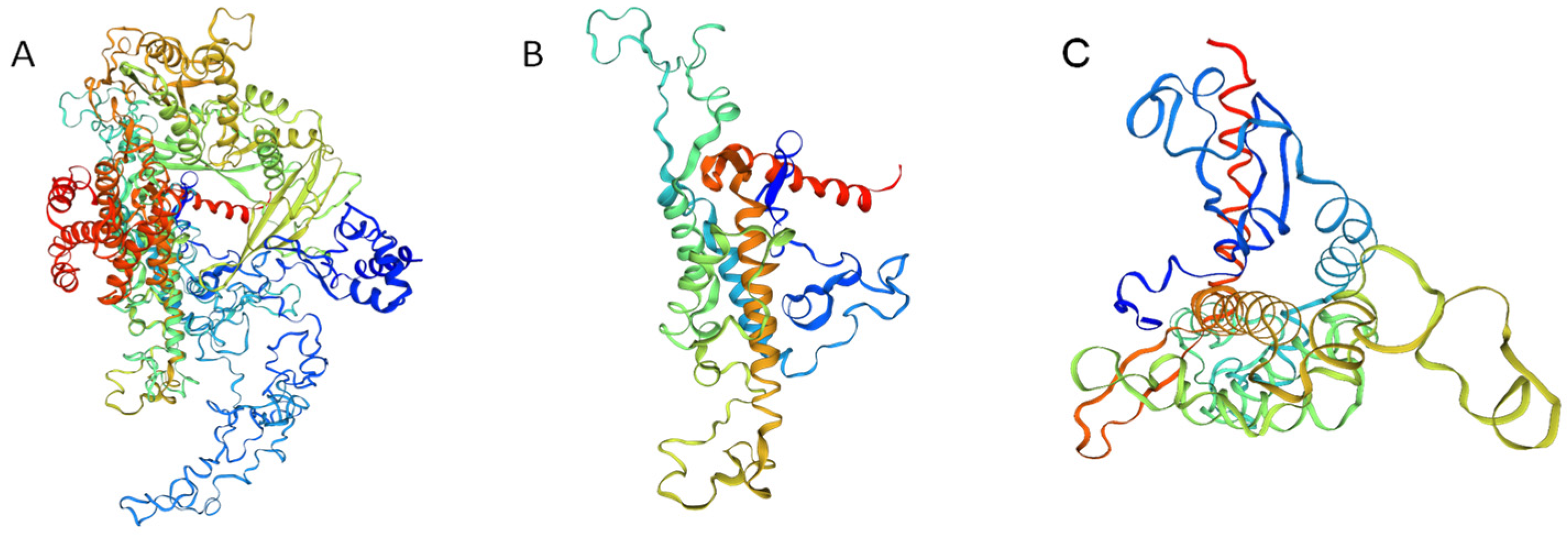 Plants 12 02036 g003