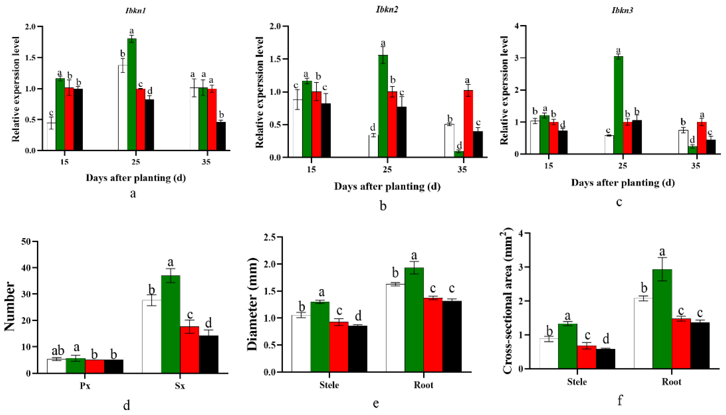 Plants 12 02039 g004