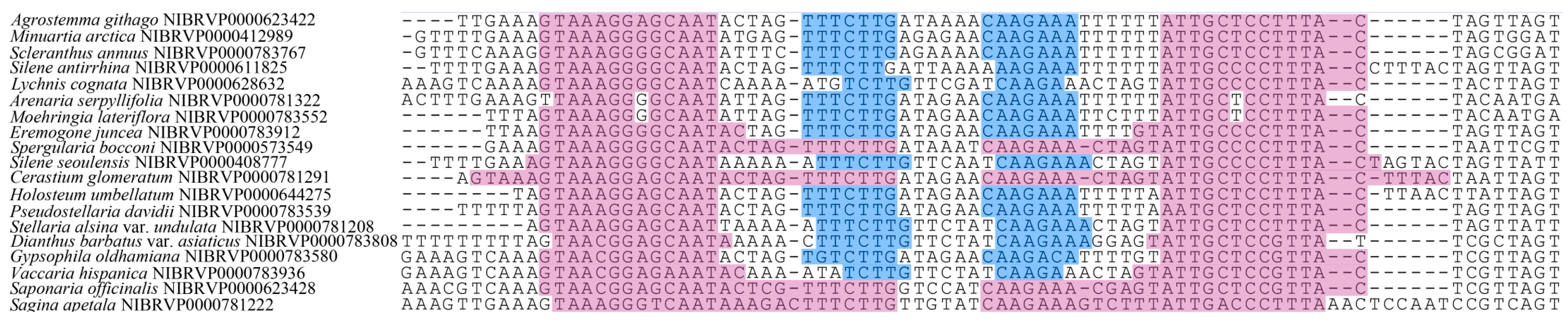 Plants 12 02060 g001